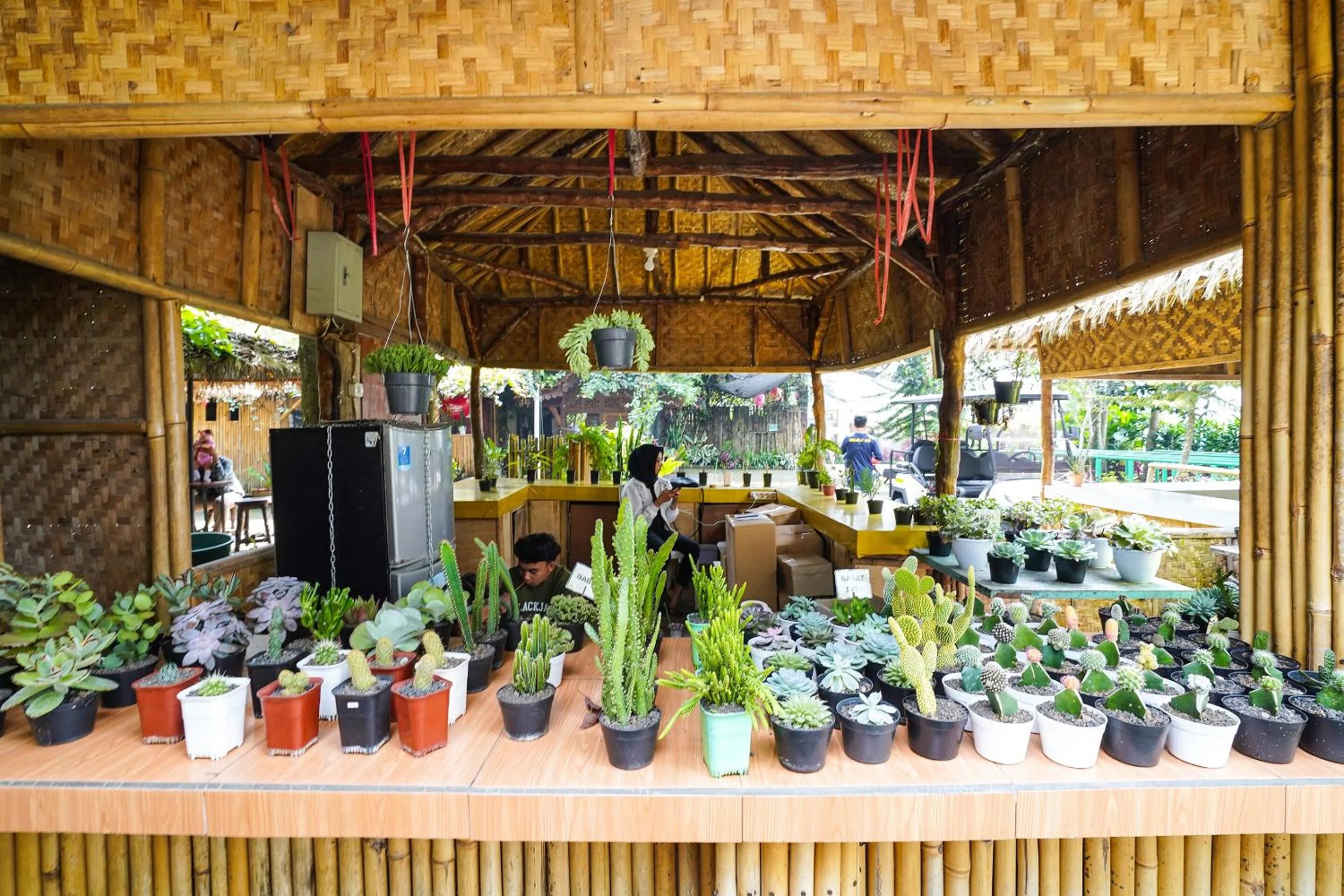 Other in OYO Homes 91006 Eco Tourism Desa Cibodas Areng 5 Syariah