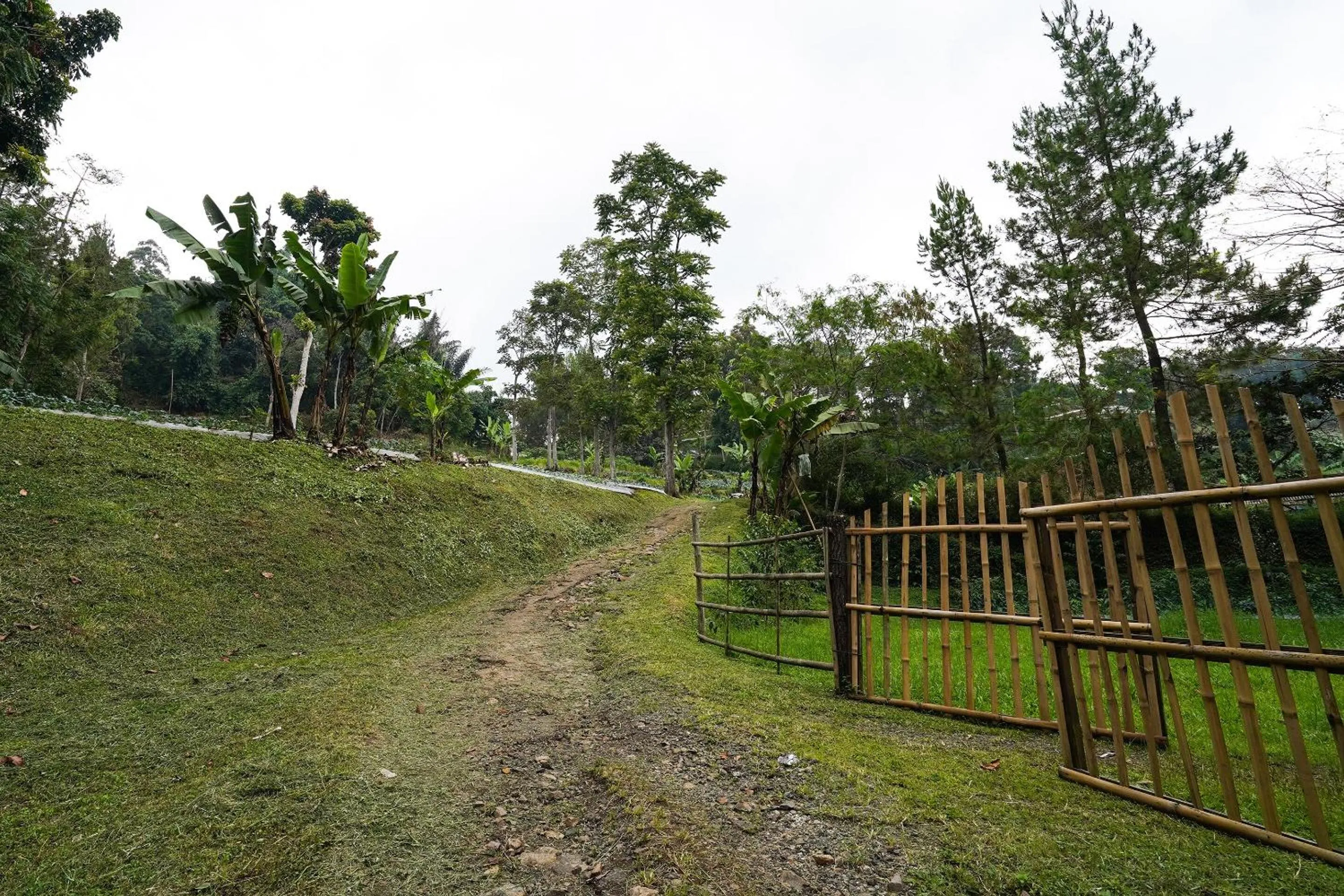 Other in OYO Homes 91006 Eco Tourism Desa Cibodas Areng 5 Syariah