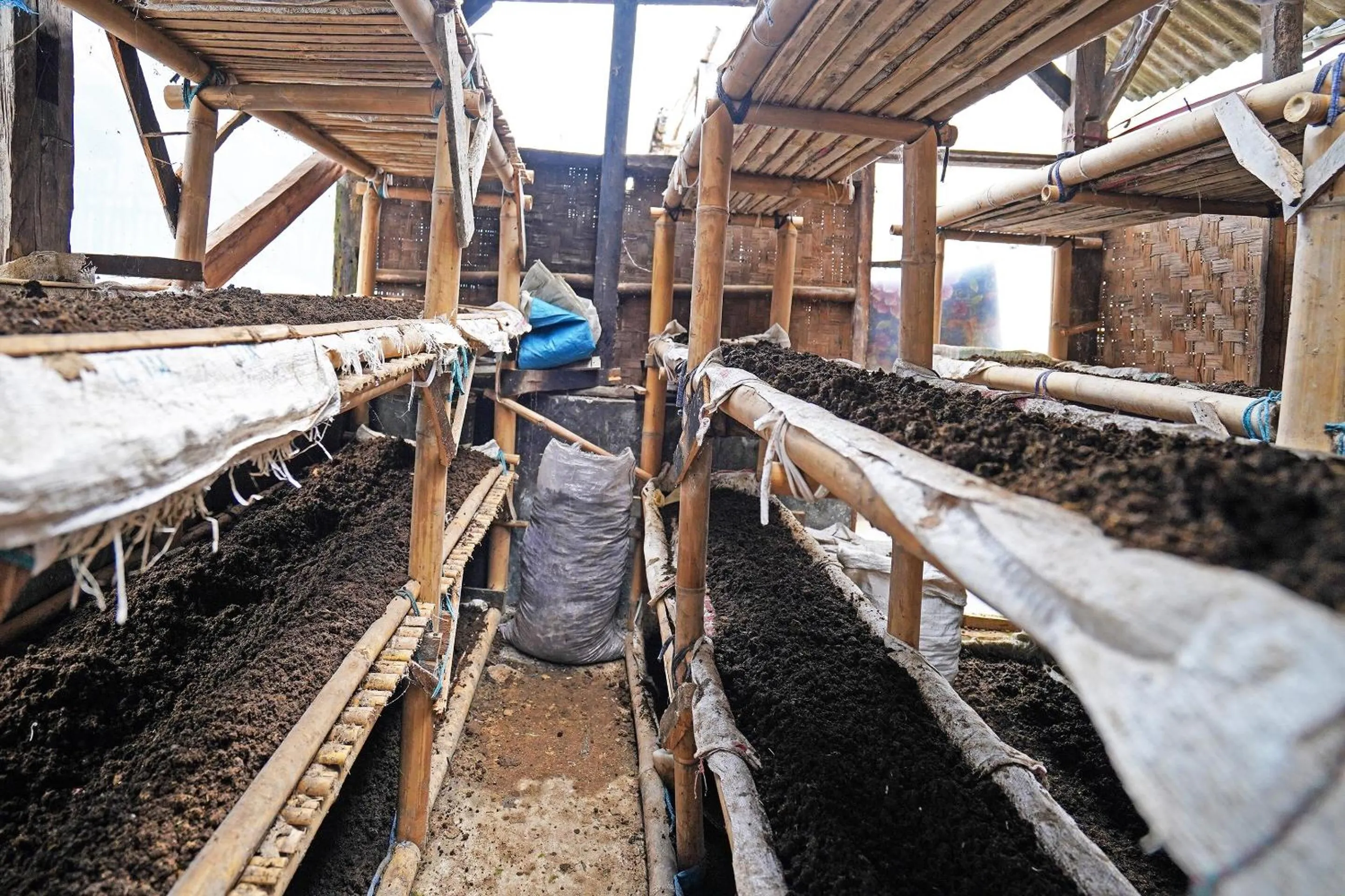 Other in OYO Homes 91006 Eco Tourism Desa Cibodas Areng 5 Syariah