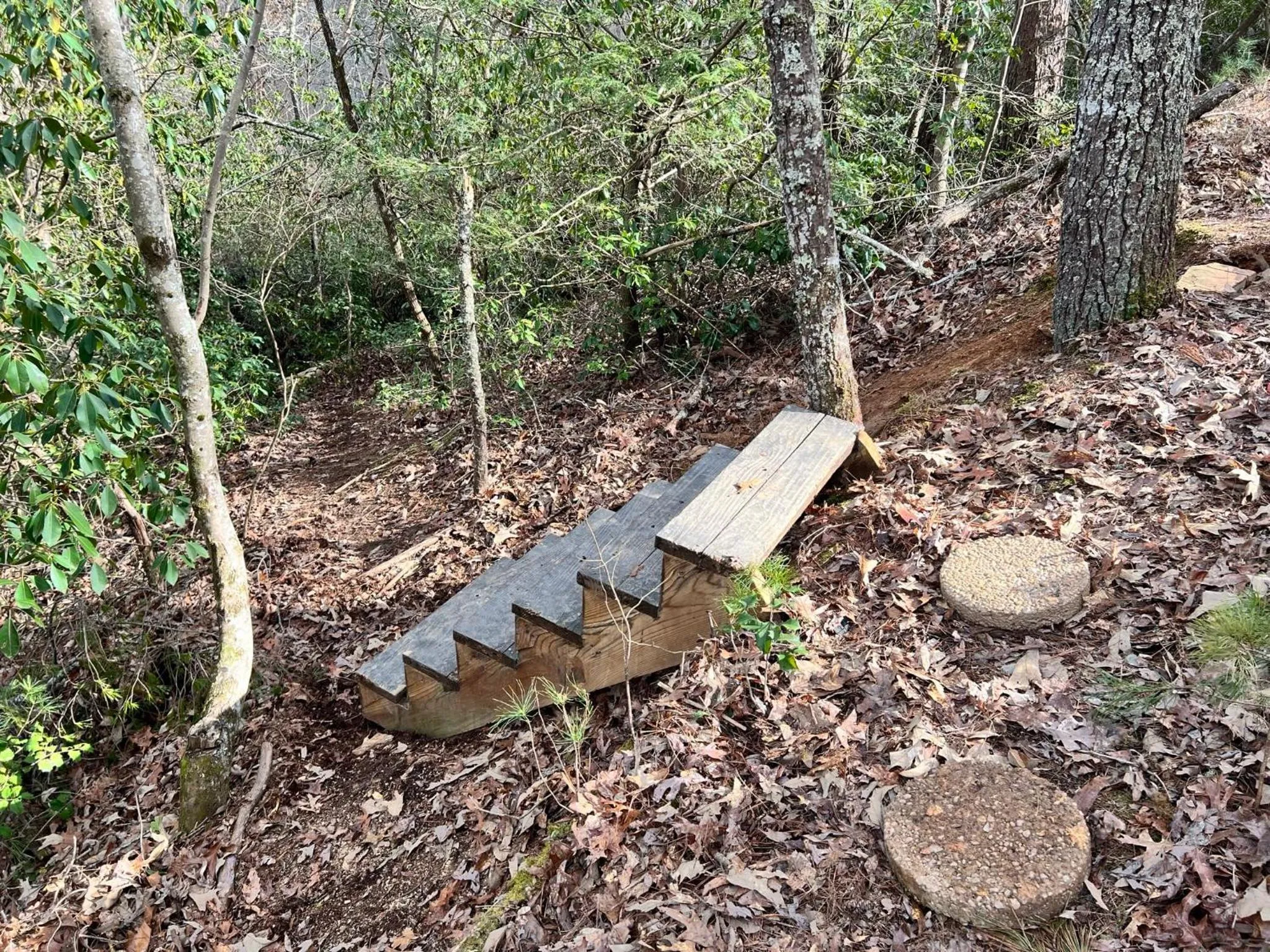 Log Cabin with Mountain View and Privacy