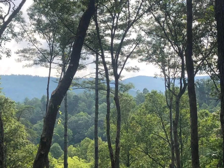 Natural landscape in Log Cabin with Mountain View and Privacy