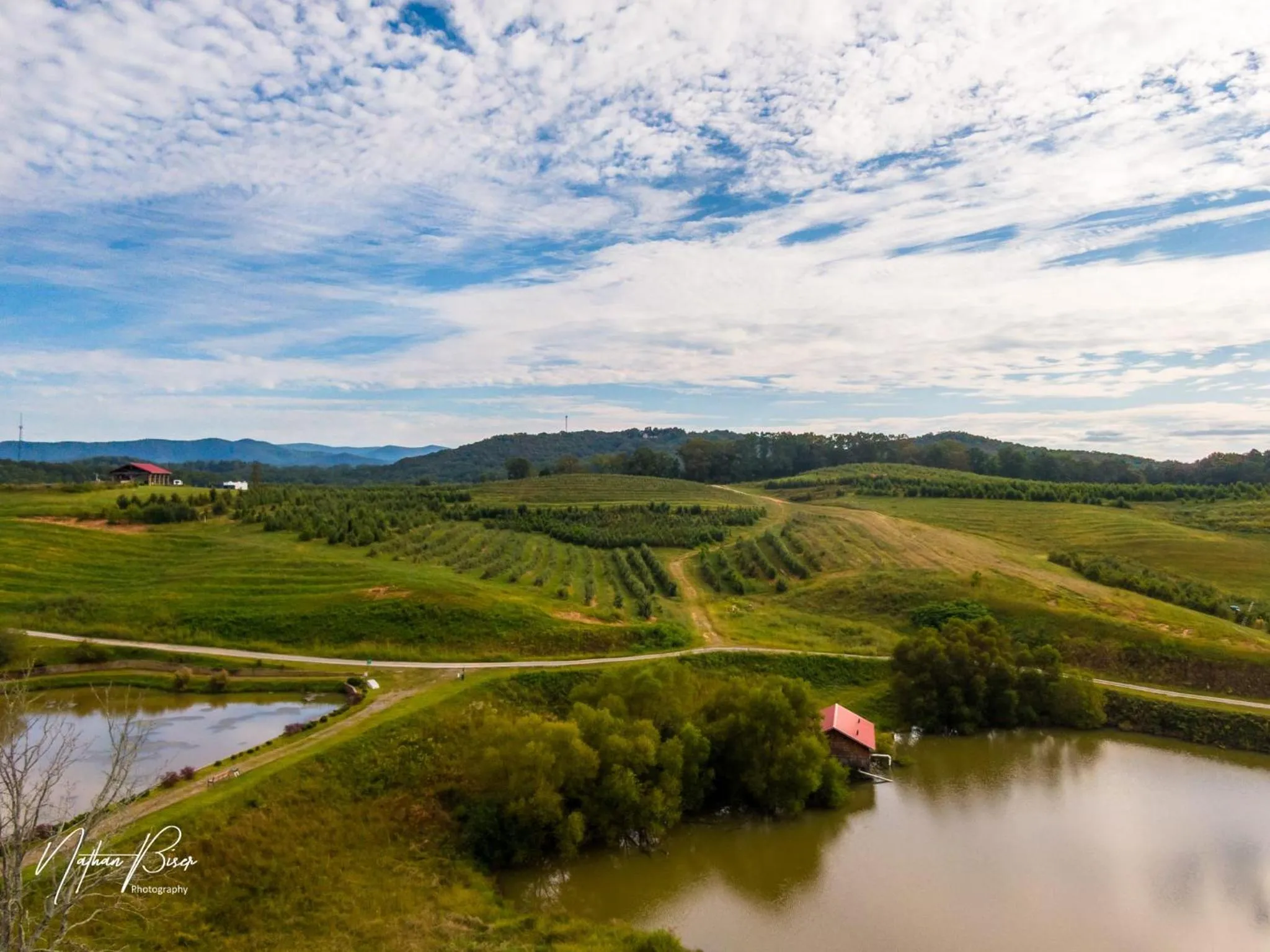 Log Cabin with Mountain View and Privacy