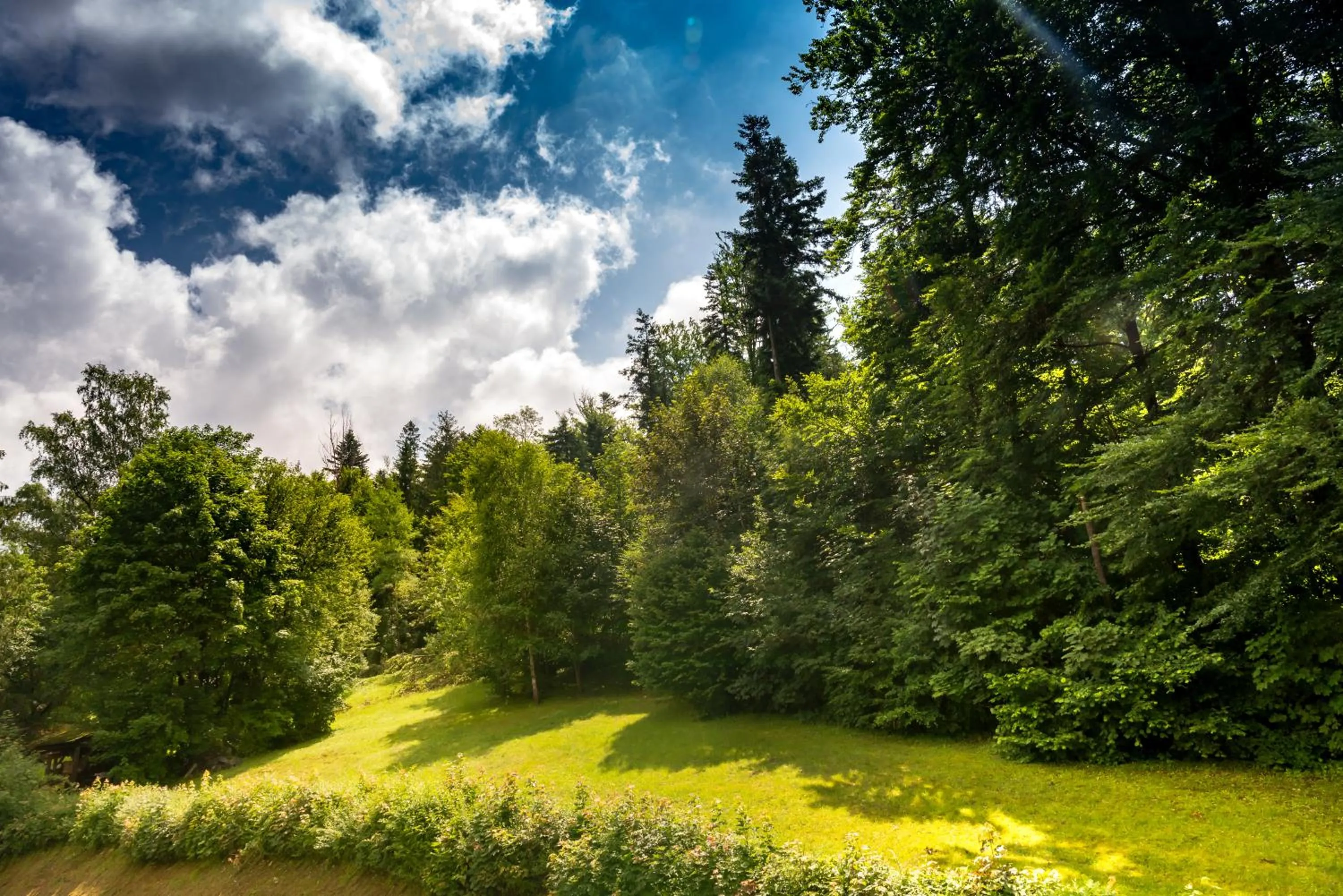 Natural landscape in Hotel Podium