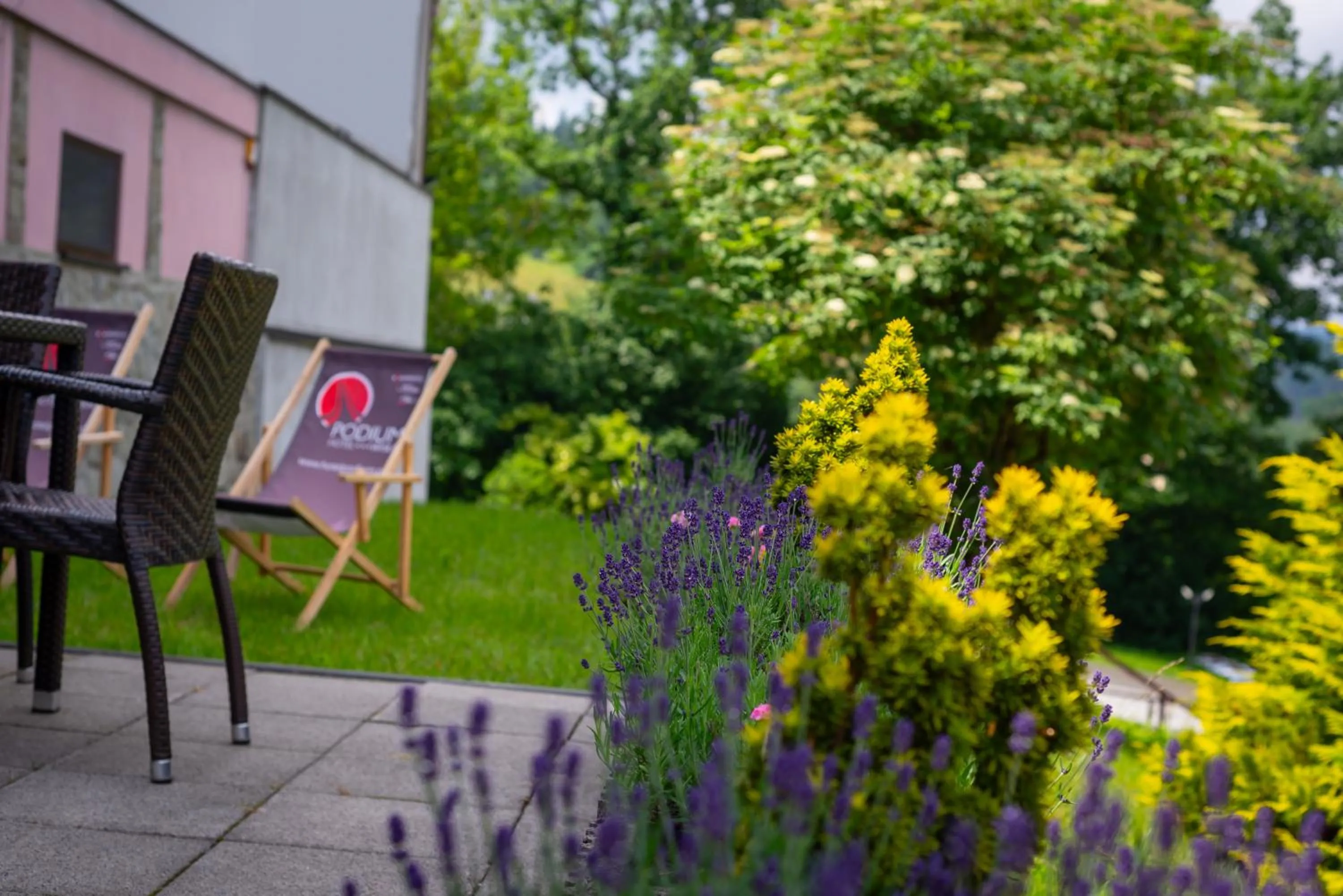 Natural landscape in Hotel Podium
