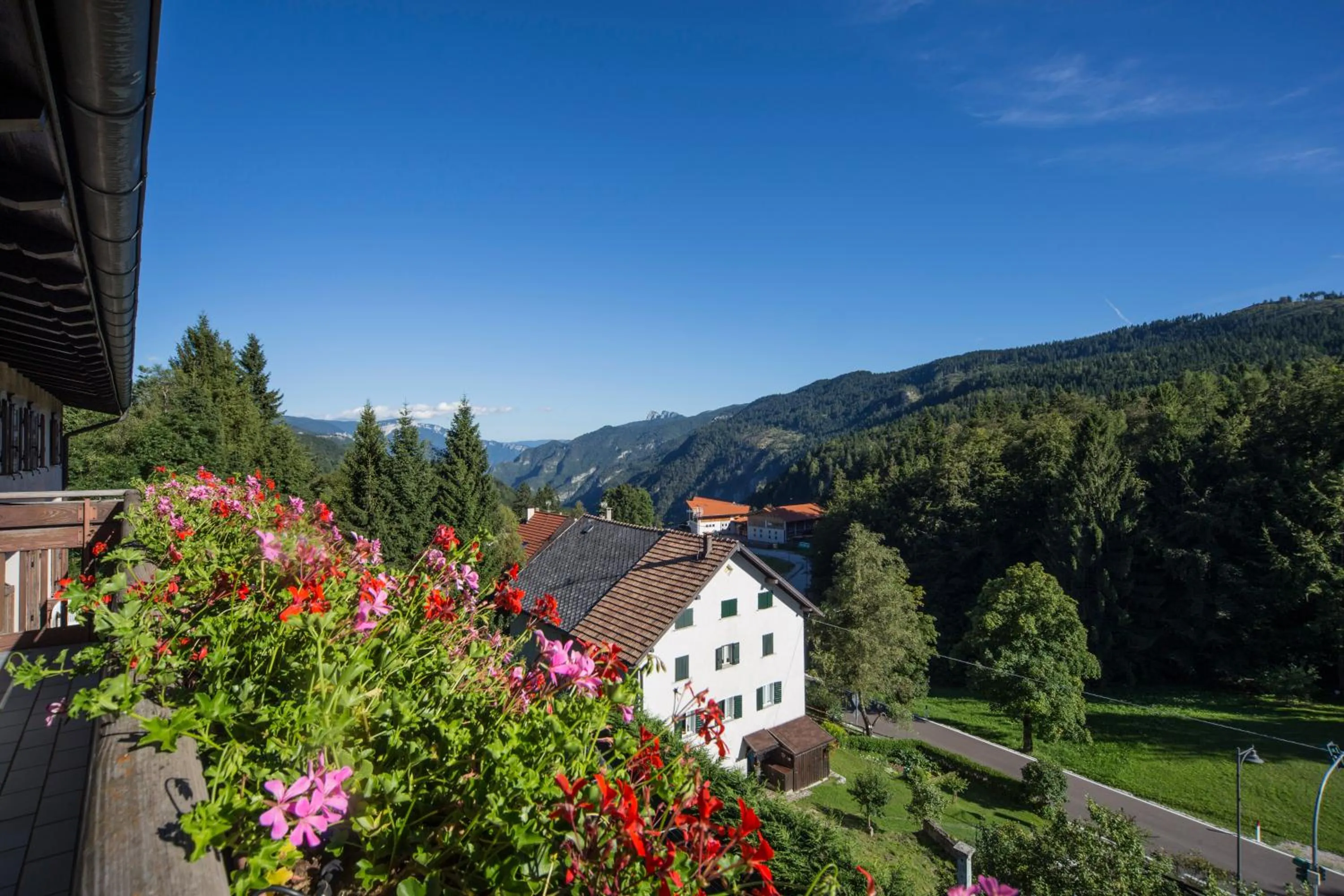 Mountain view in Hotel Trentino