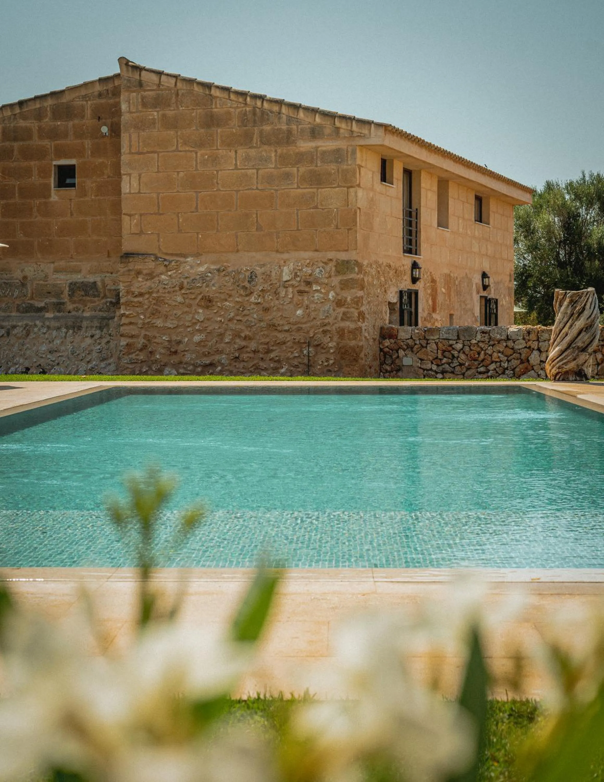 Swimming pool in Finca Gomera - Agroturismo Hotel