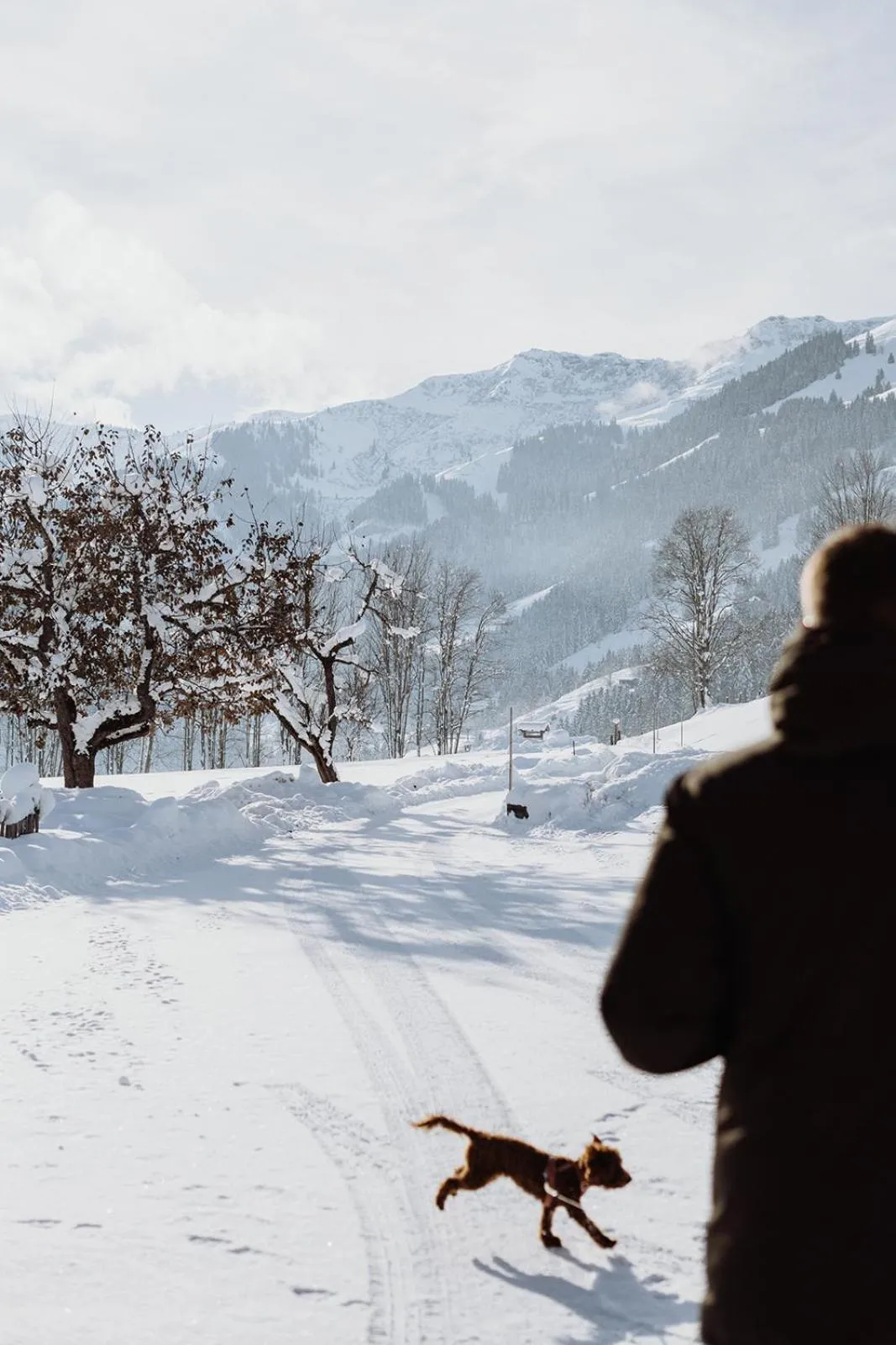 View (from property/room) in Biohof Ebengut