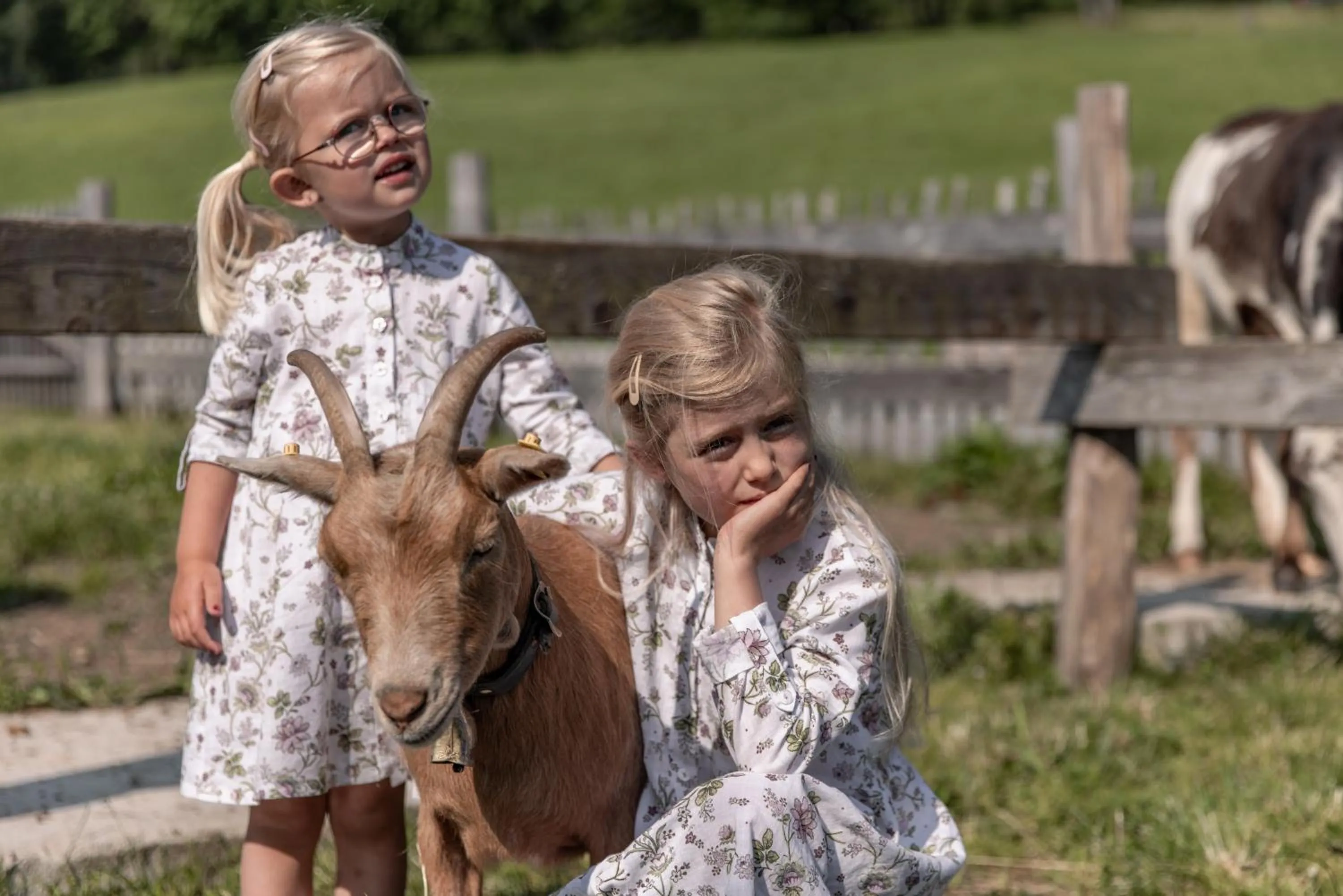 Animals in Biohof Ebengut