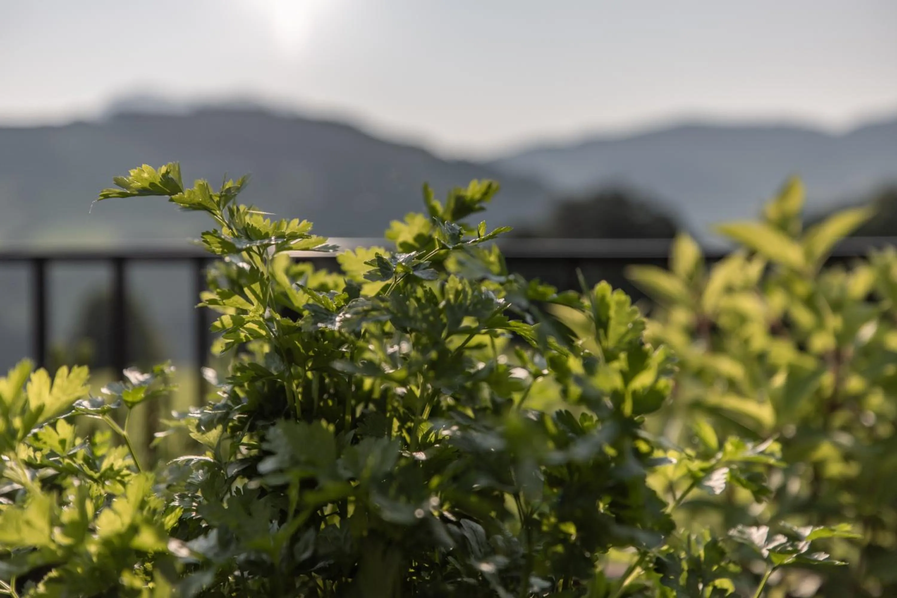 Garden in Biohof Ebengut