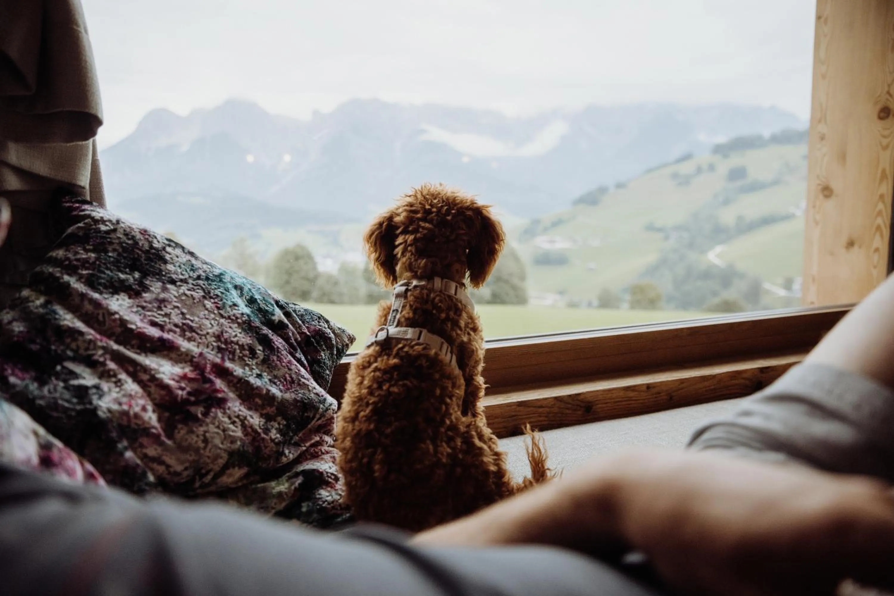 Animals in Biohof Ebengut