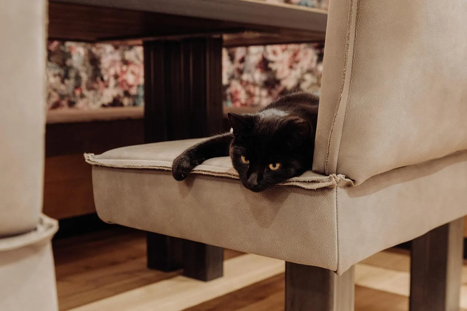 Animals in Biohof Ebengut