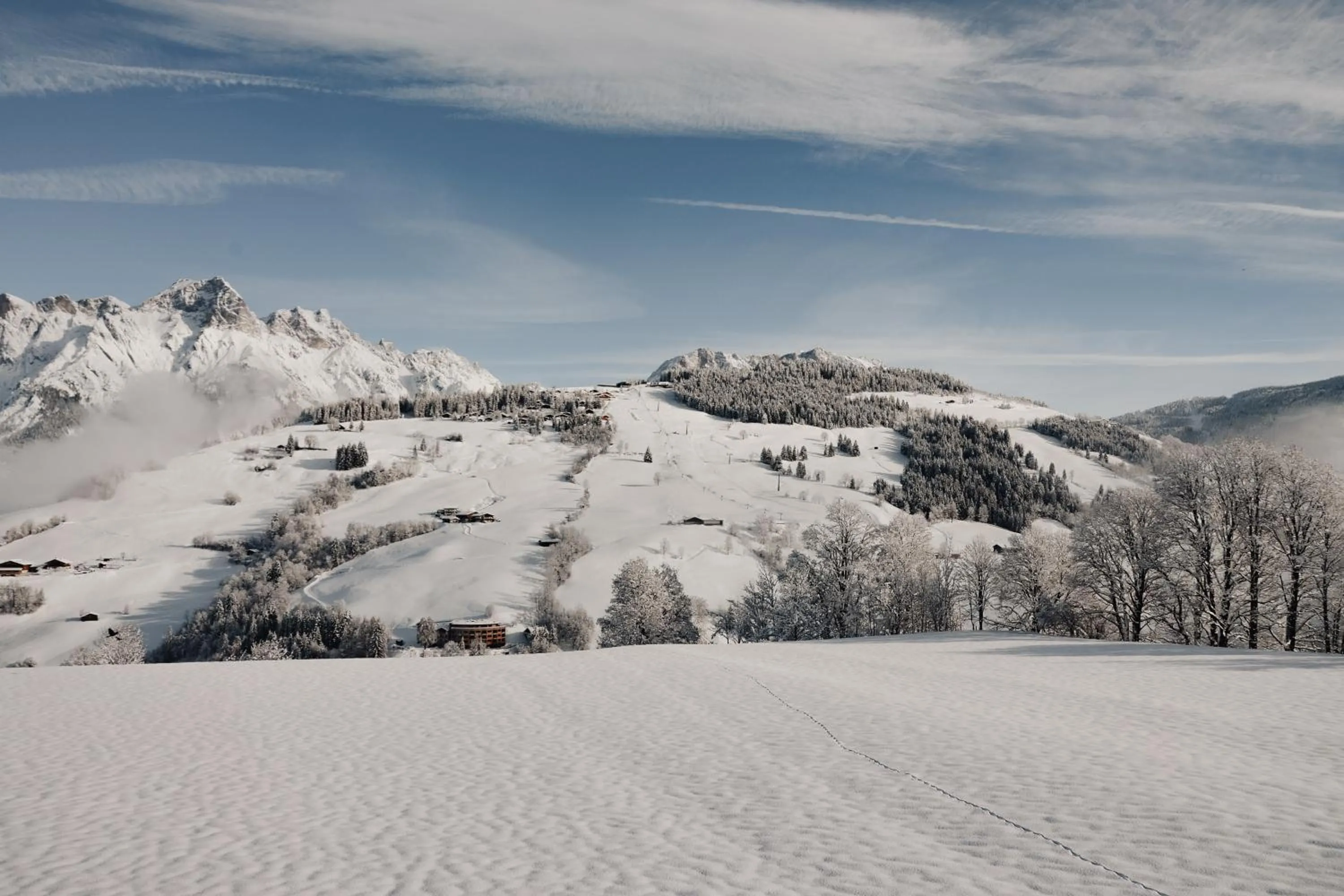 Natural landscape in Biohof Ebengut