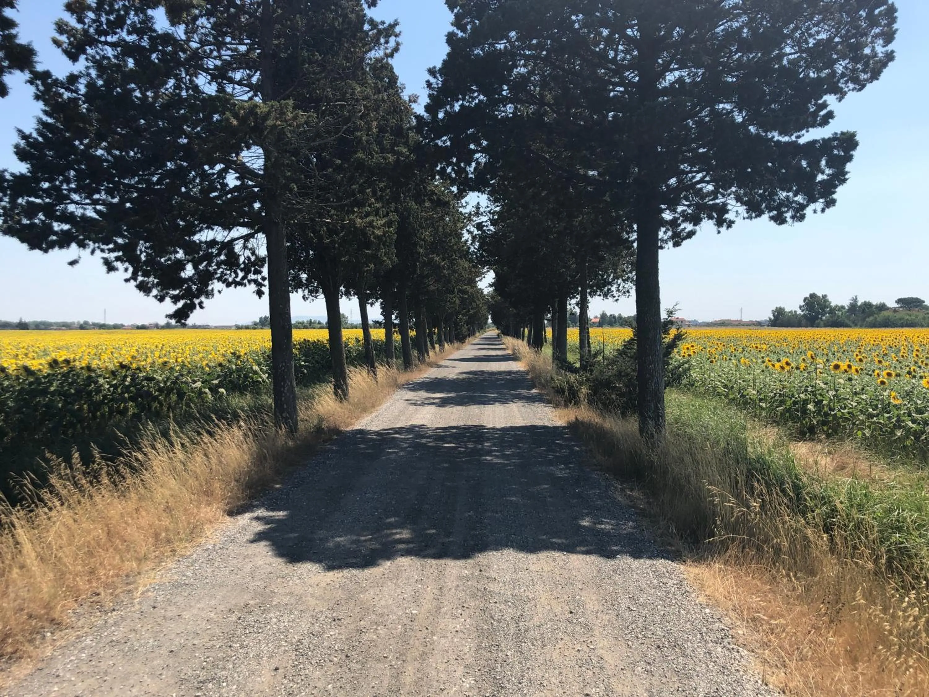 Horse-riding in Airone Pisa Hotel Ristorante