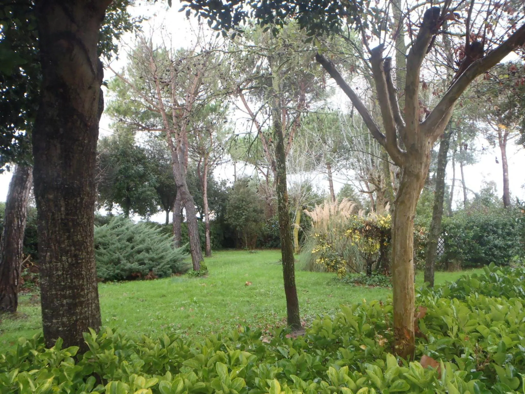Garden in Airone Pisa Hotel Ristorante
