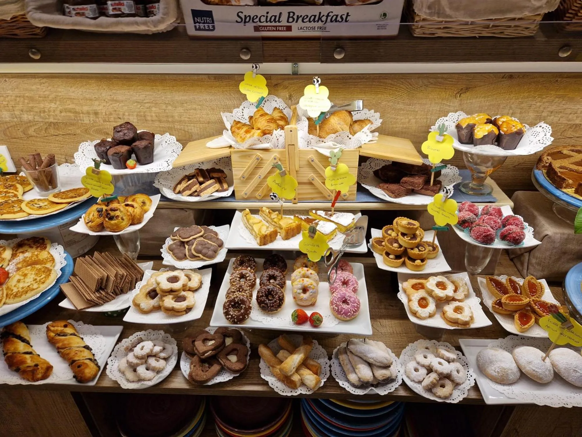 Casa Dominova de Luxe