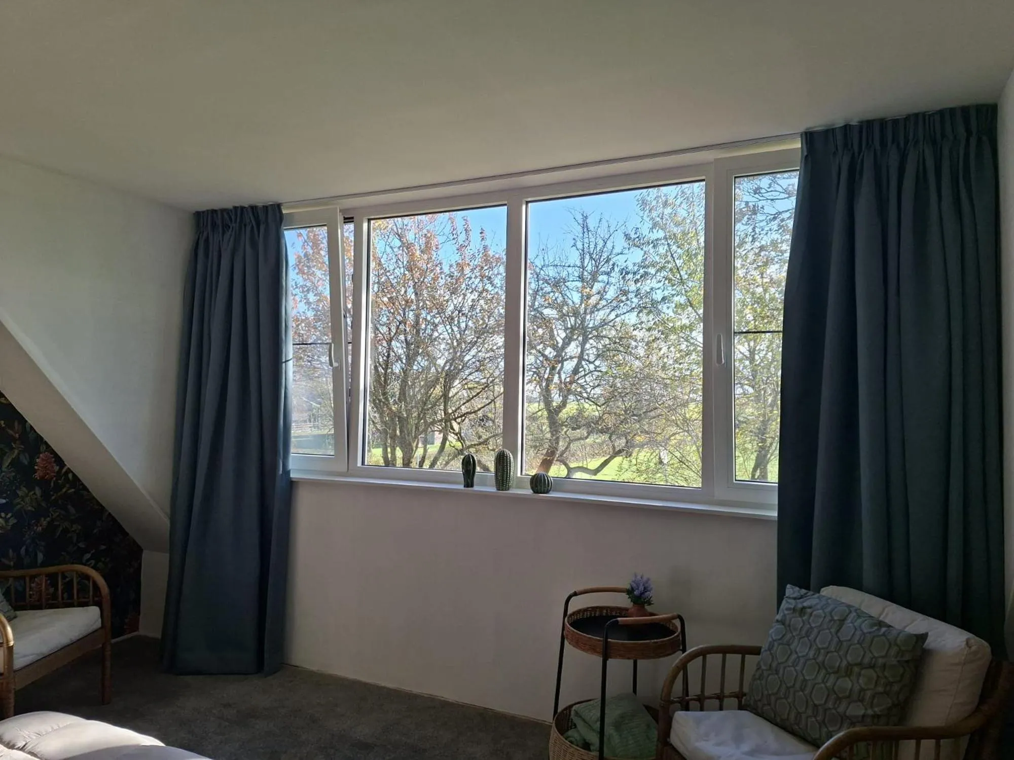 View (from property/room) in B&B Wijdzicht