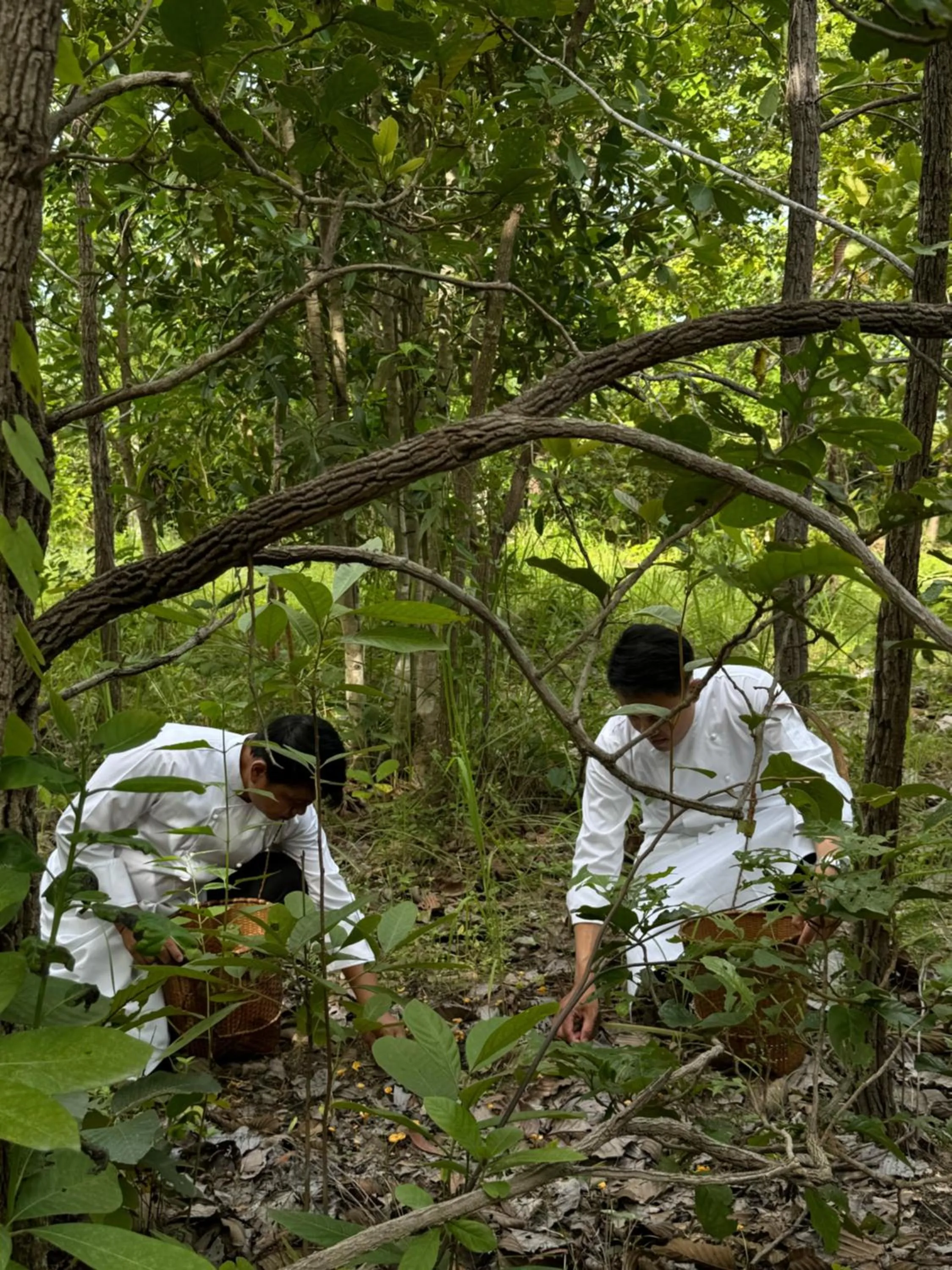 Activities in Sela Chiangmai