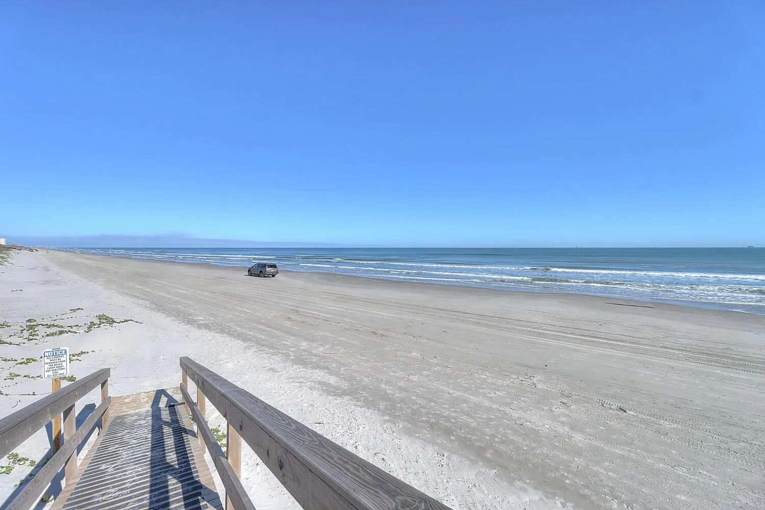 Other in It Is Fine LCV26 Pet Friendly