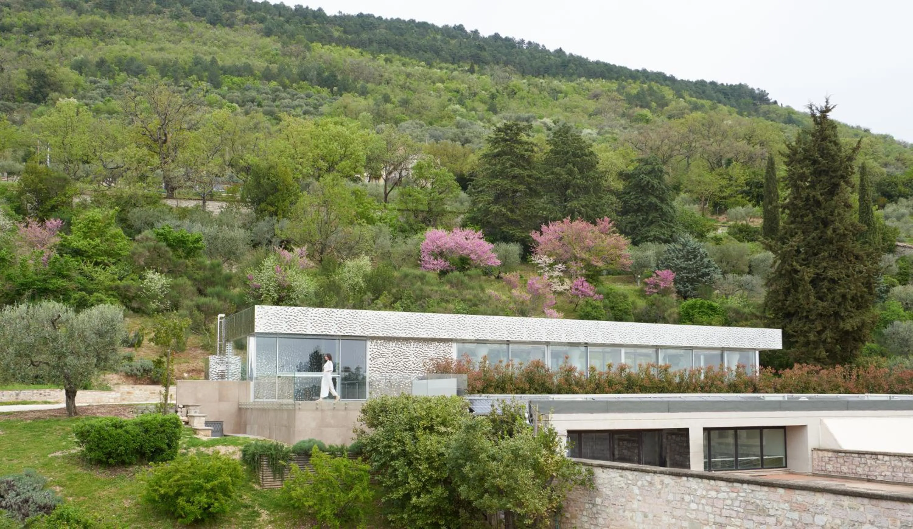 Garden view in Park Hotel Ai Cappuccini