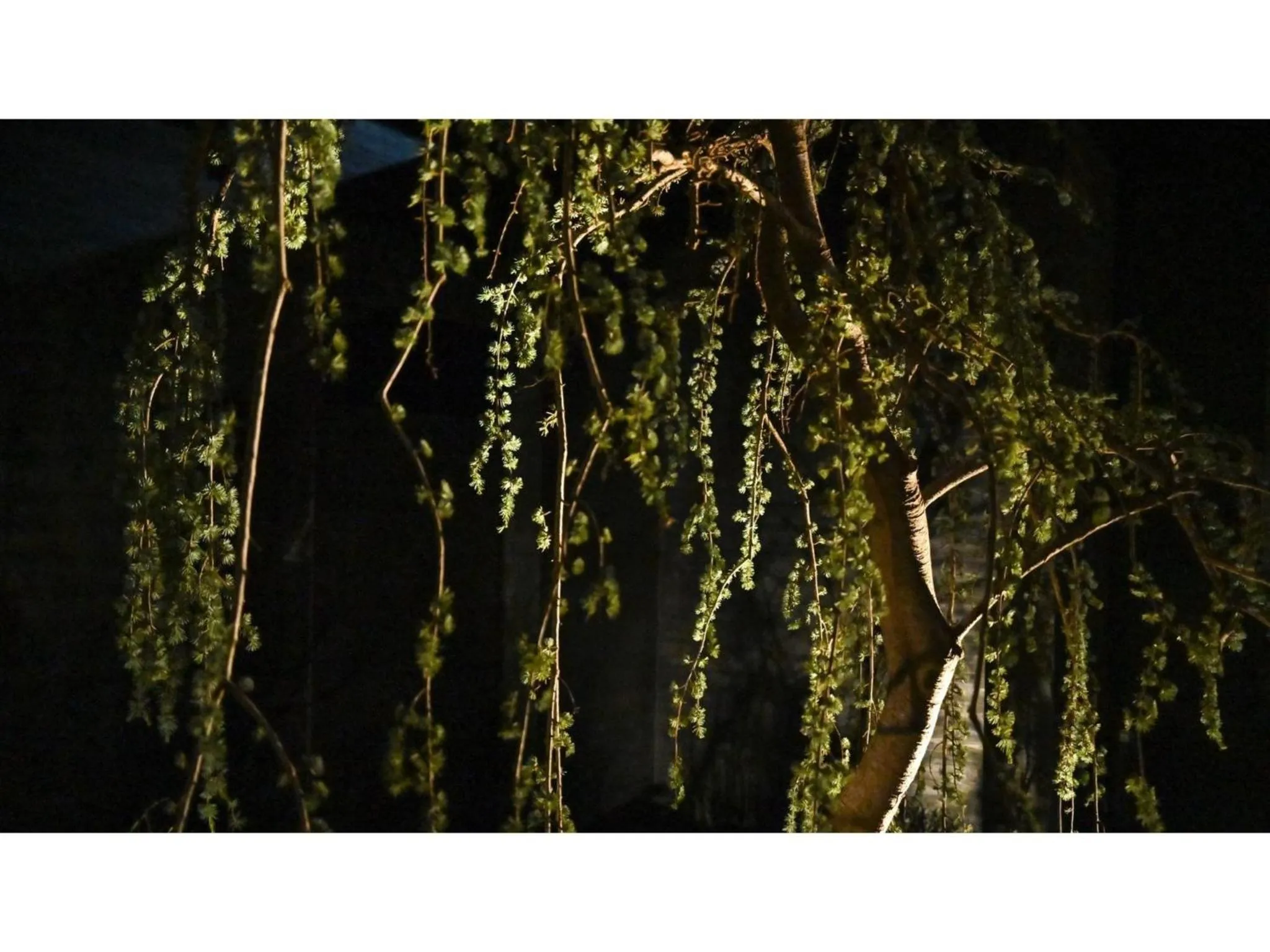 nol kyoto sanjo - Vacation STAY 00926v