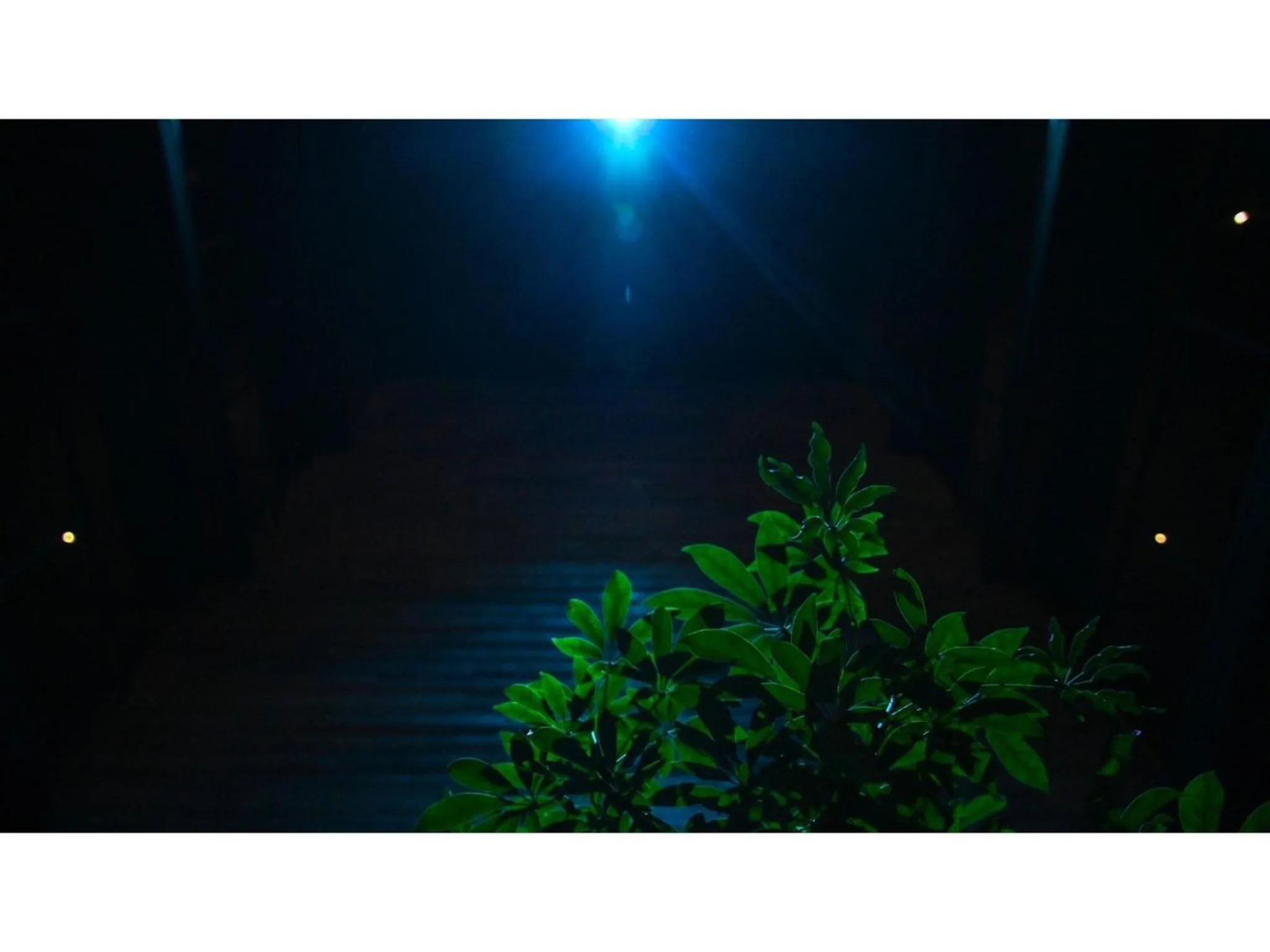 nol kyoto sanjo - Vacation STAY 00926v