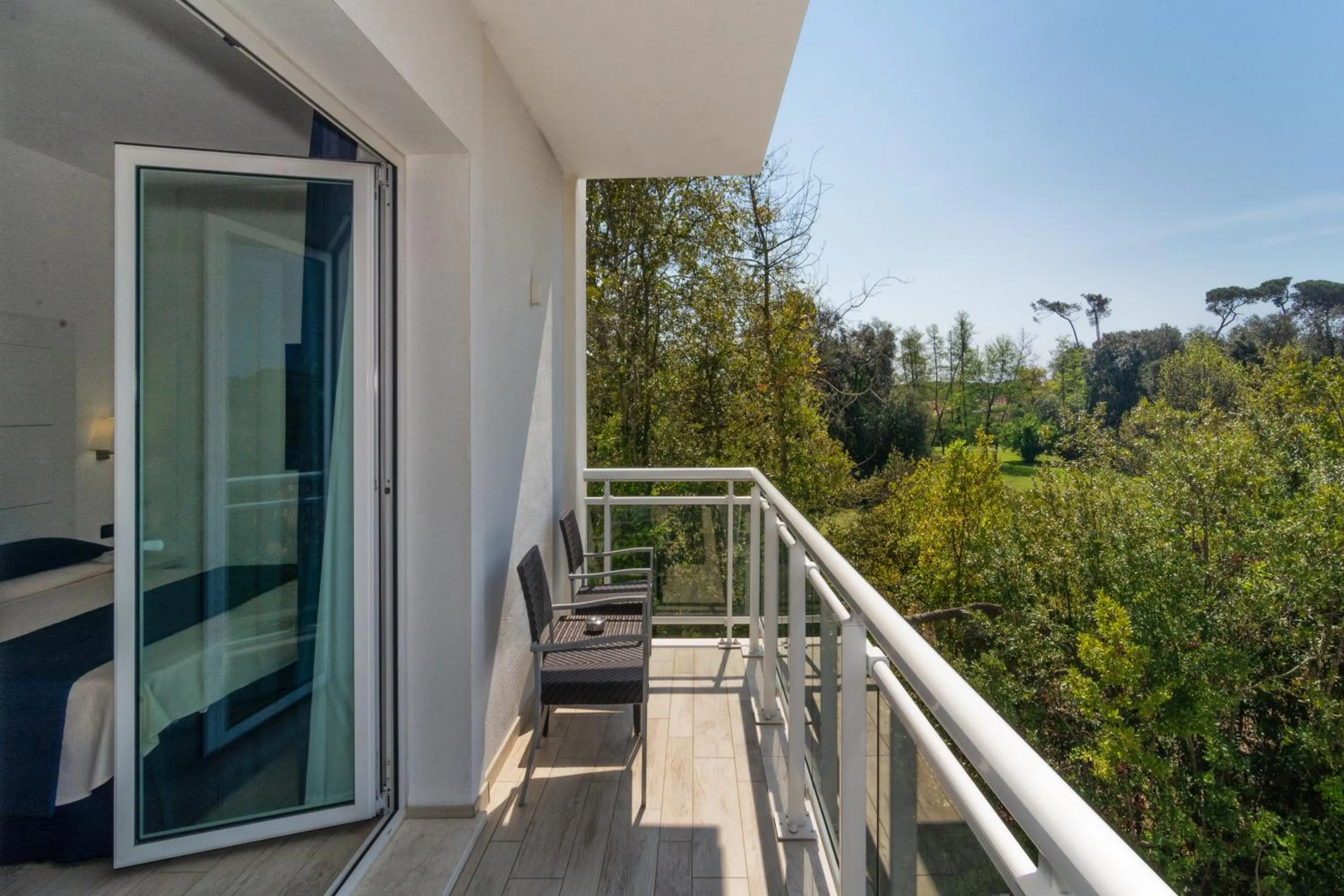 Balcony/Terrace in Hotel Central Park