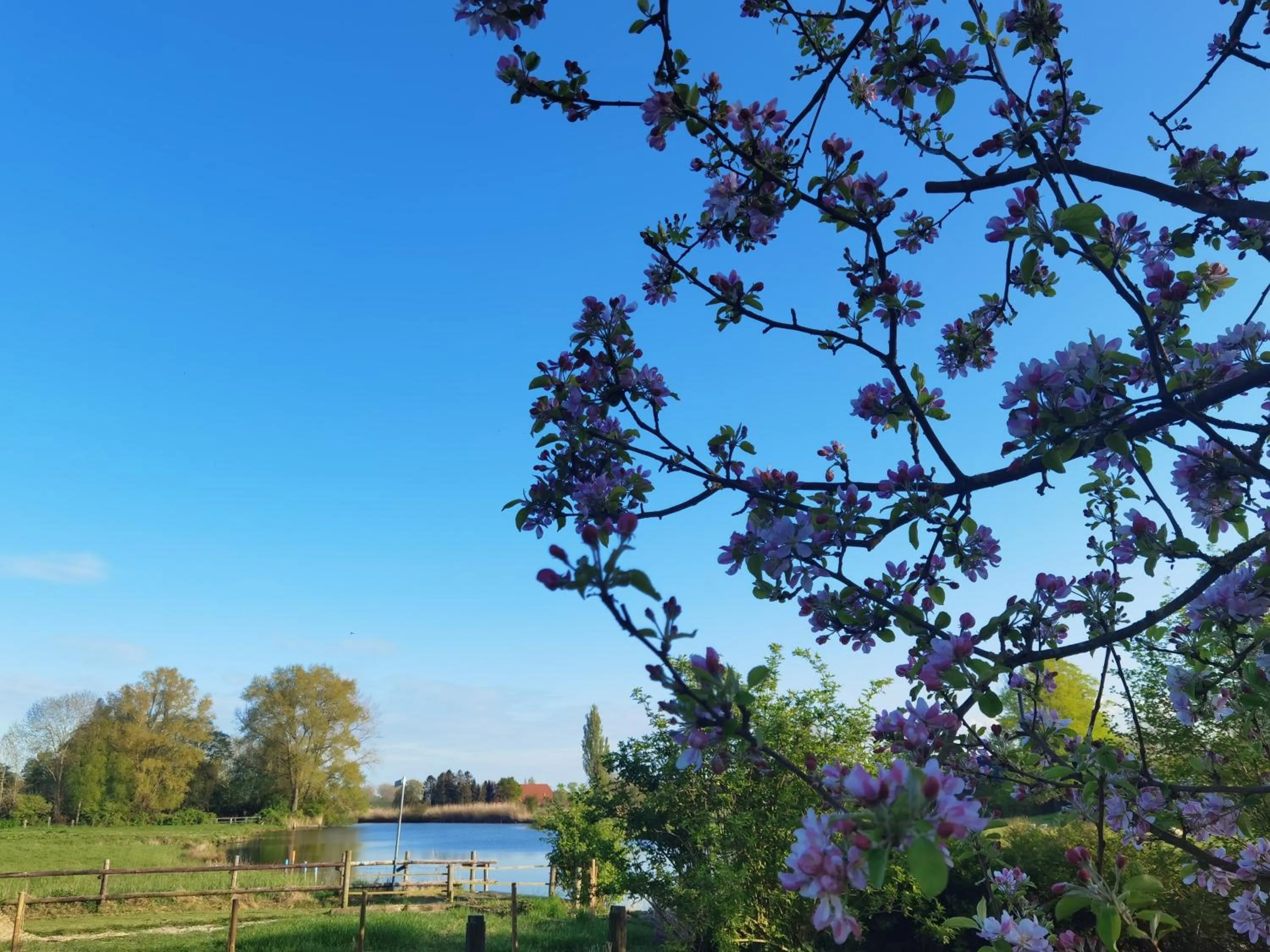 Natural landscape in Stedinger Landhotel & Café