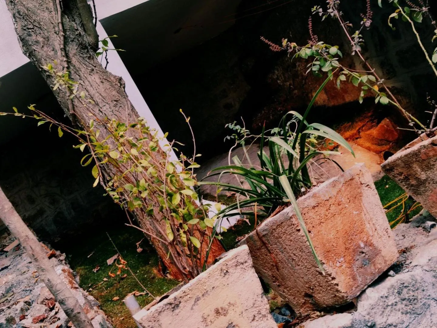 Garden in Bhavan Resorts