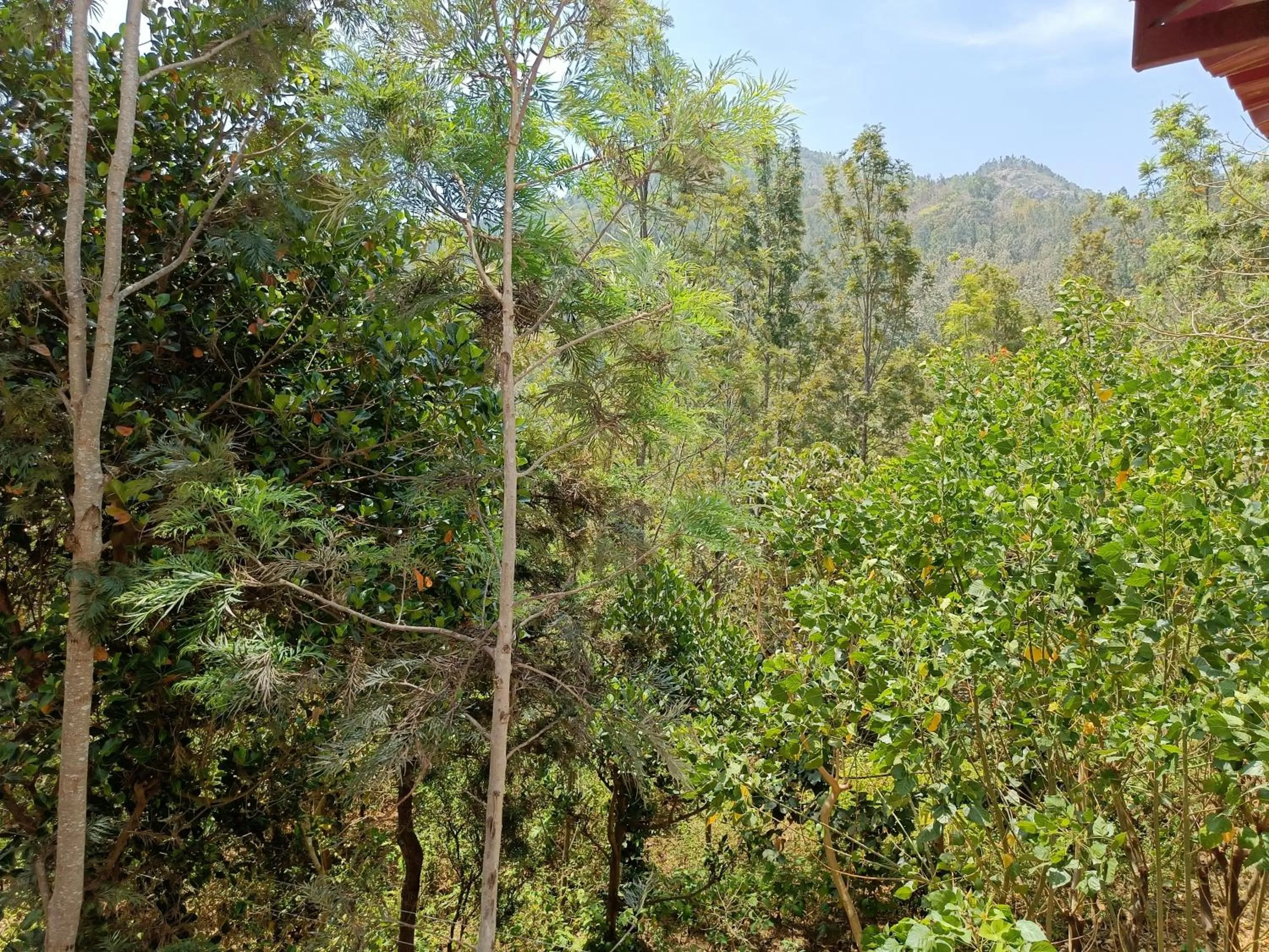 View (from property/room) in Bhavan Resorts