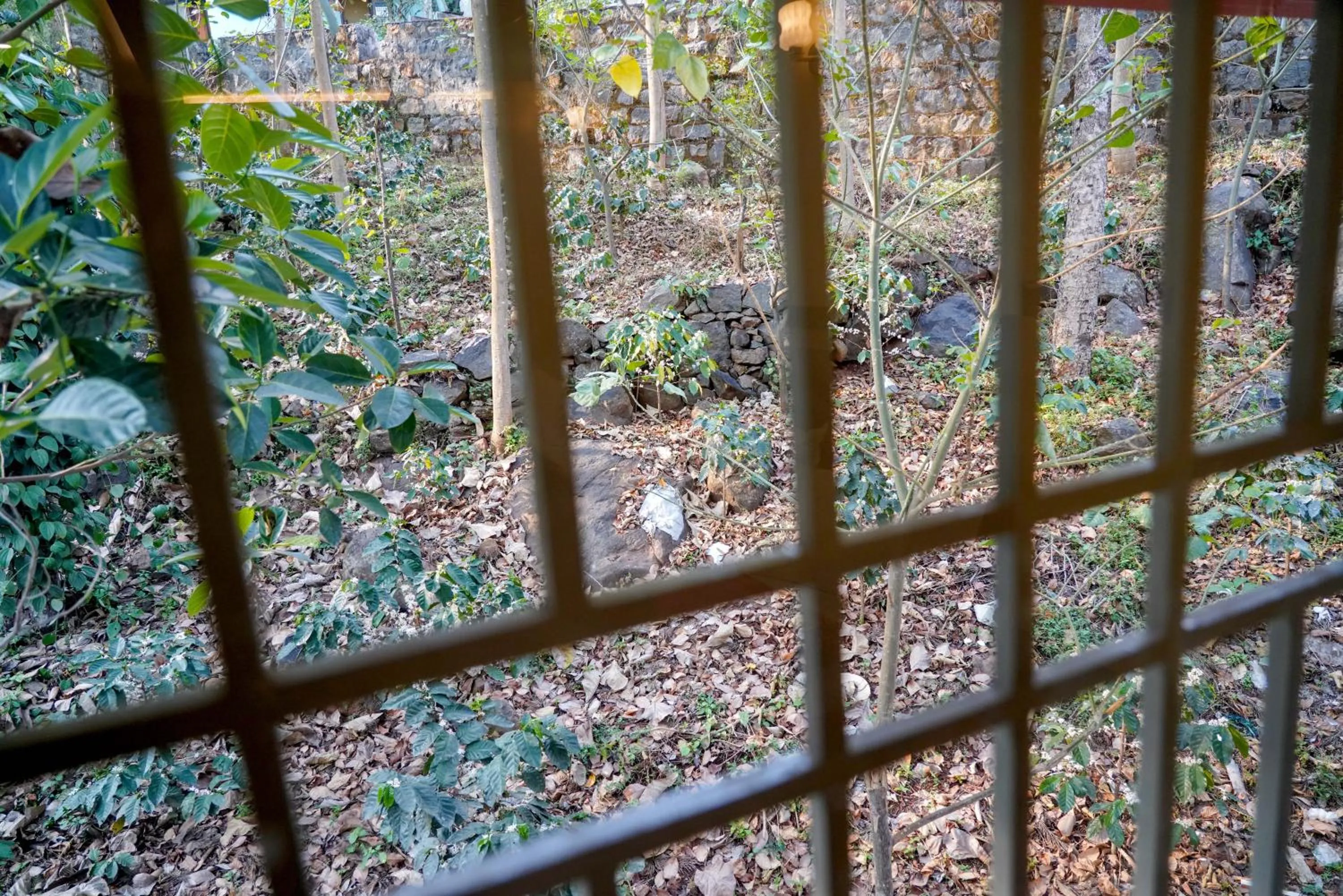 View (from property/room) in Bhavan Resorts