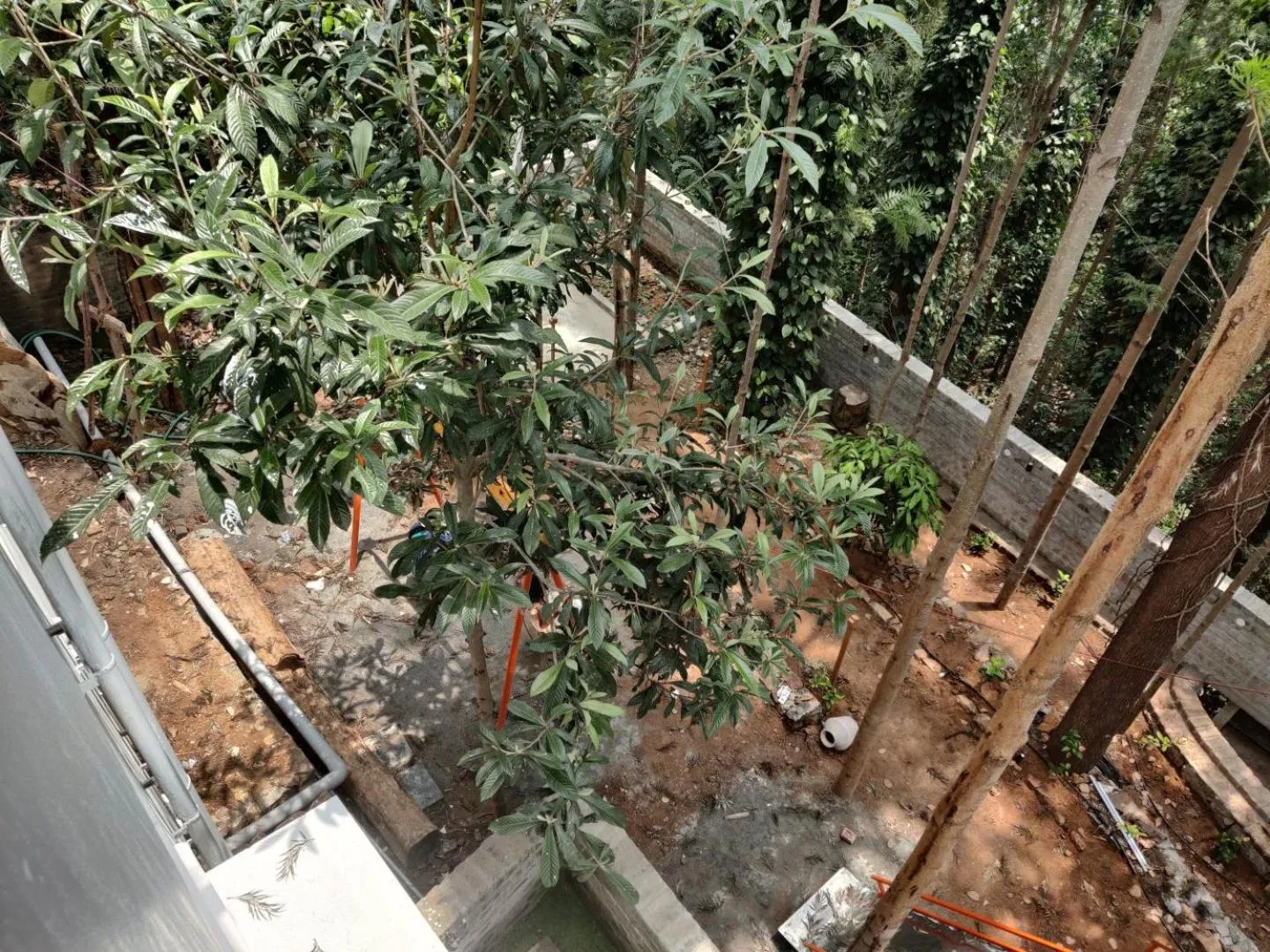 Garden in Bhavan Resorts