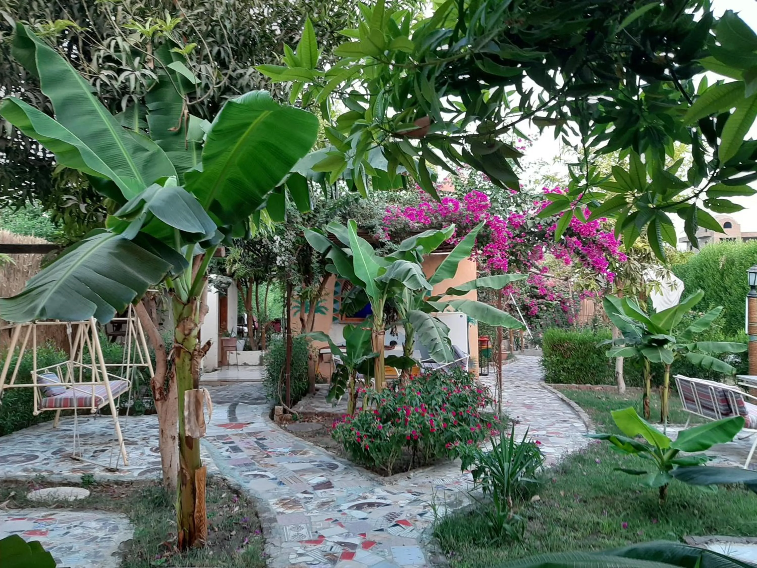 Garden in Nile Compound