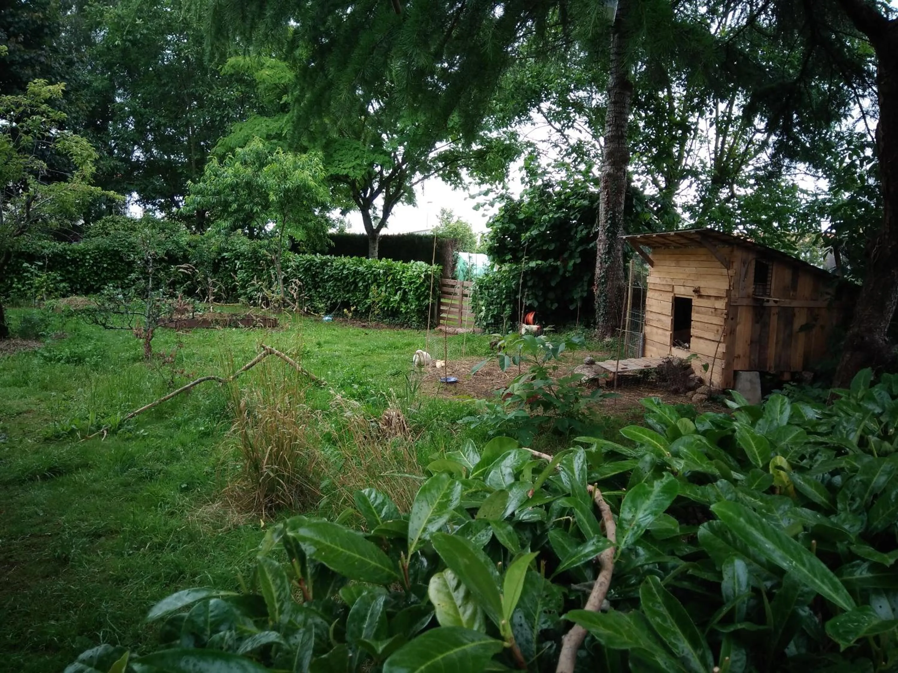Garden in Les Clés du Parc