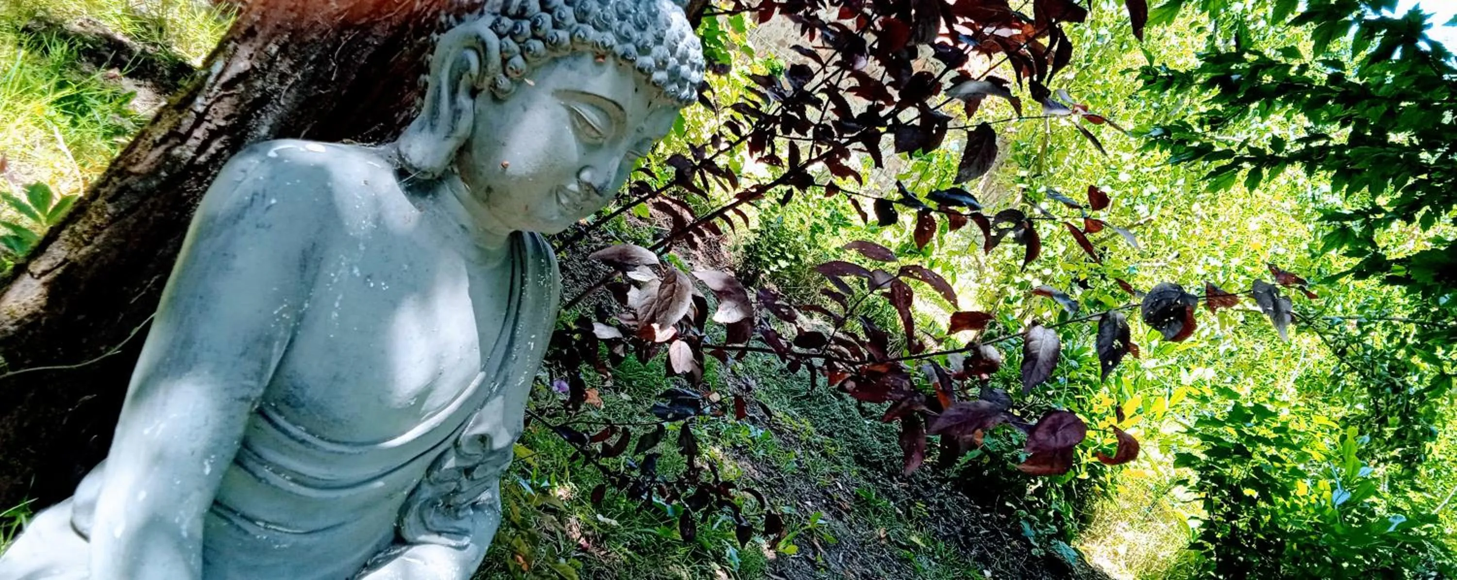 Garden in Les Clés du Parc