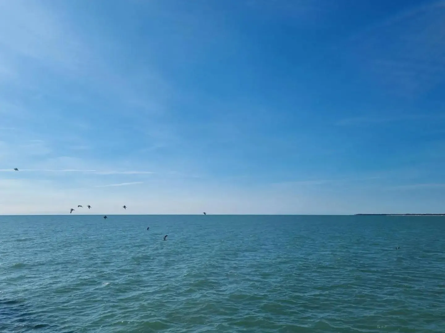 Beach in Aparthotel Holiday