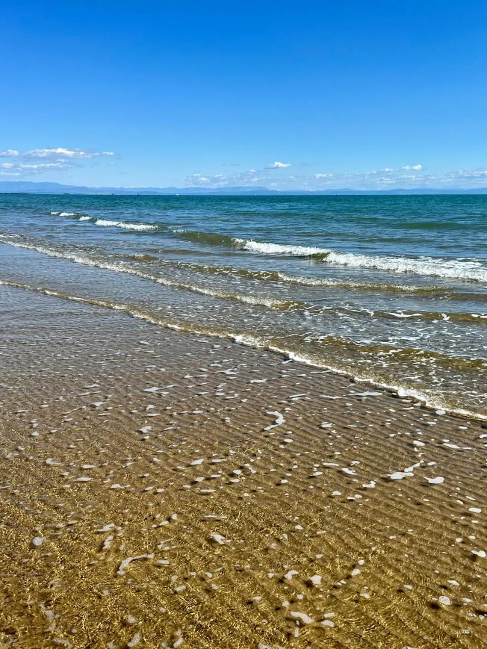 Beach in Aparthotel Holiday