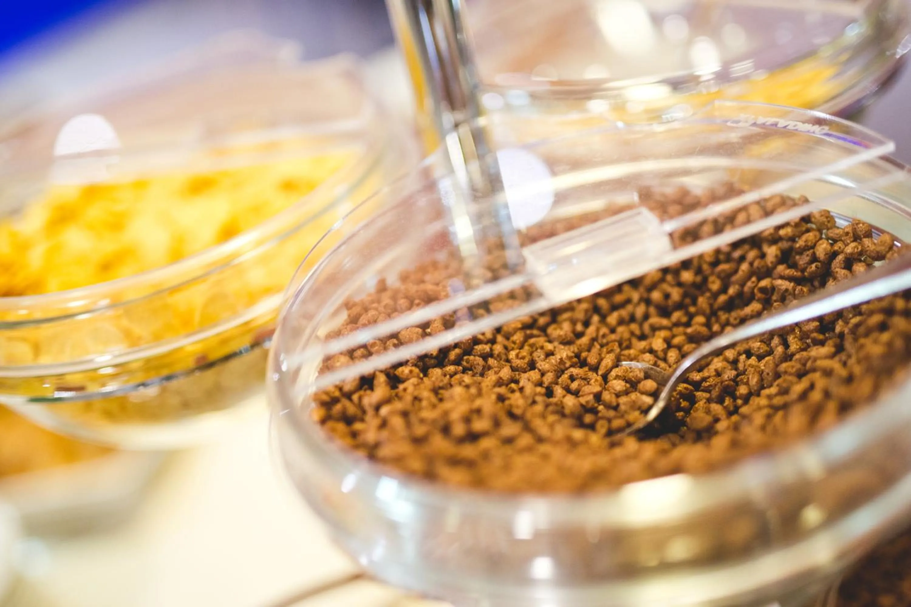 Restaurant/places to eat in Albergo Athenaeum