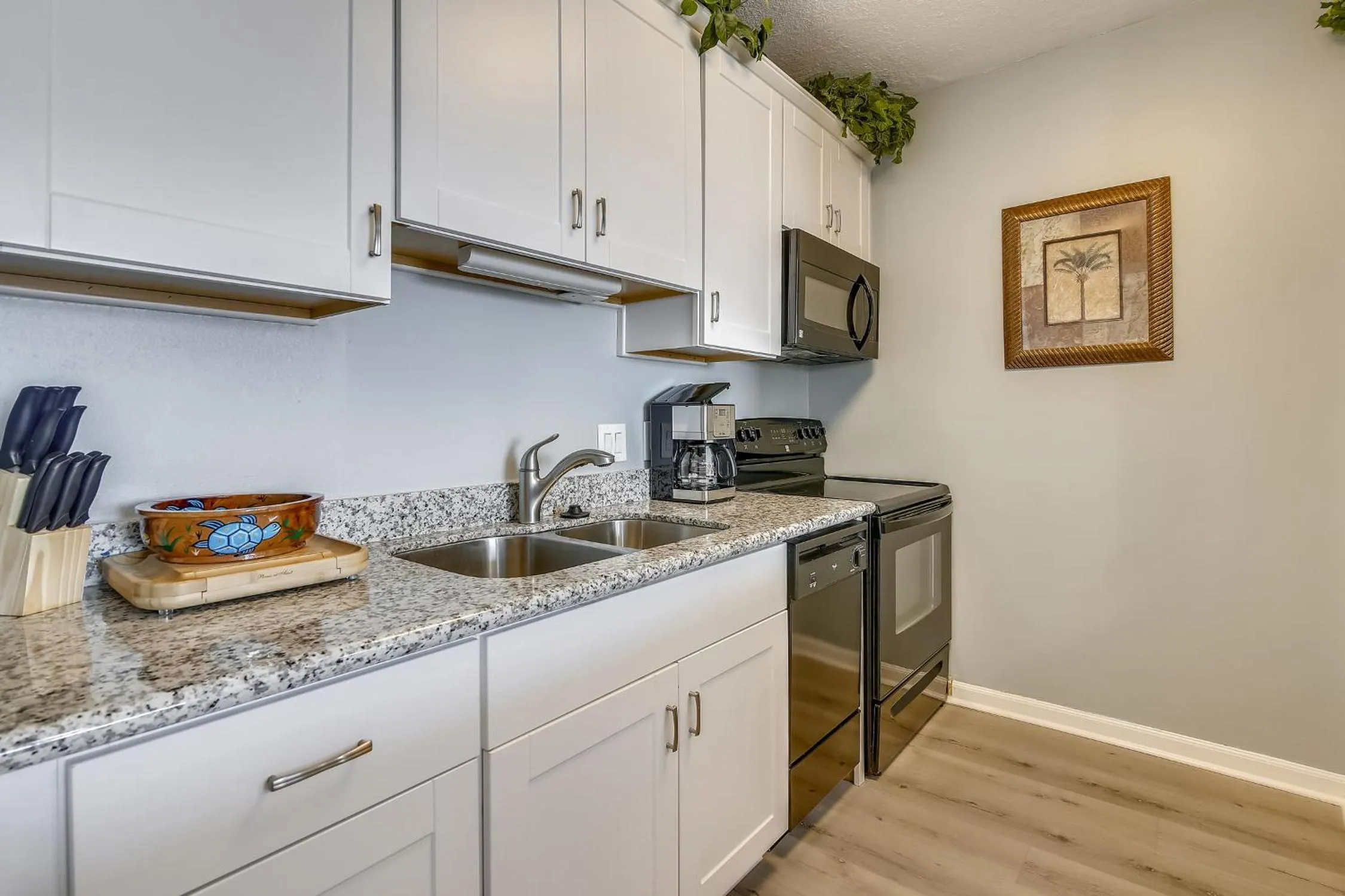 Galvestonian 409-Pelican Pathway