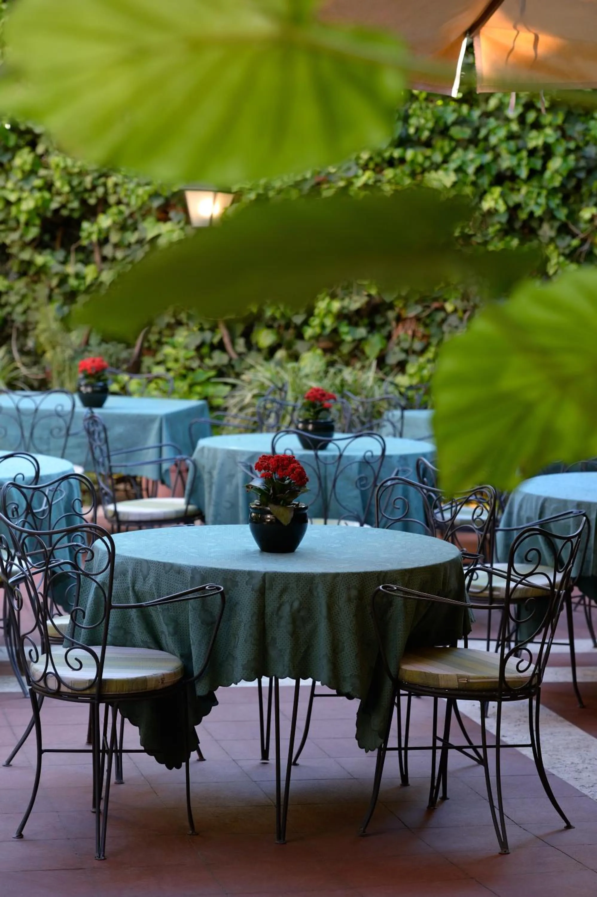 Garden, Restaurant/Places to Eat in Hotel Giulio Cesare