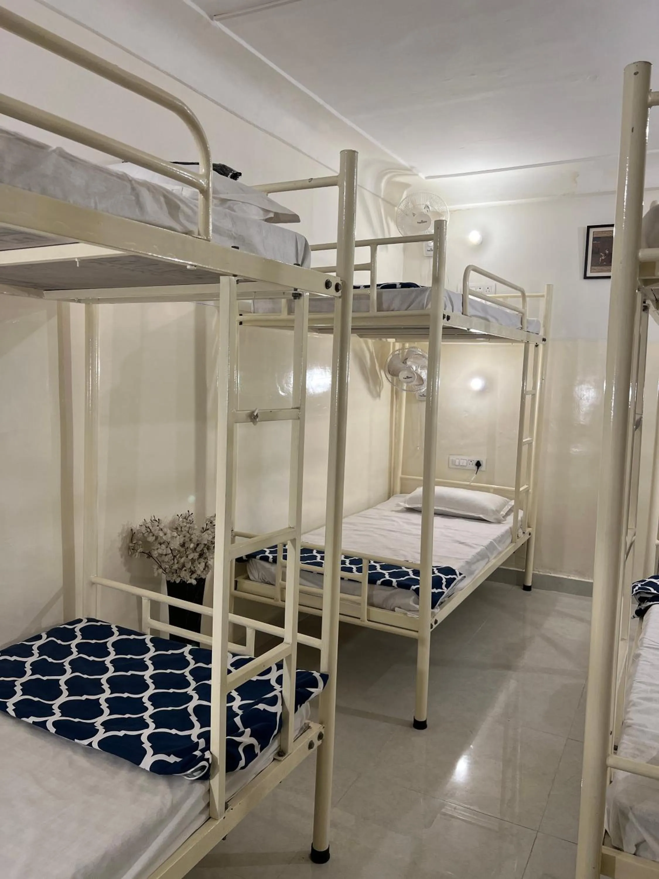 bunk bed, Bed in Hostel ivory