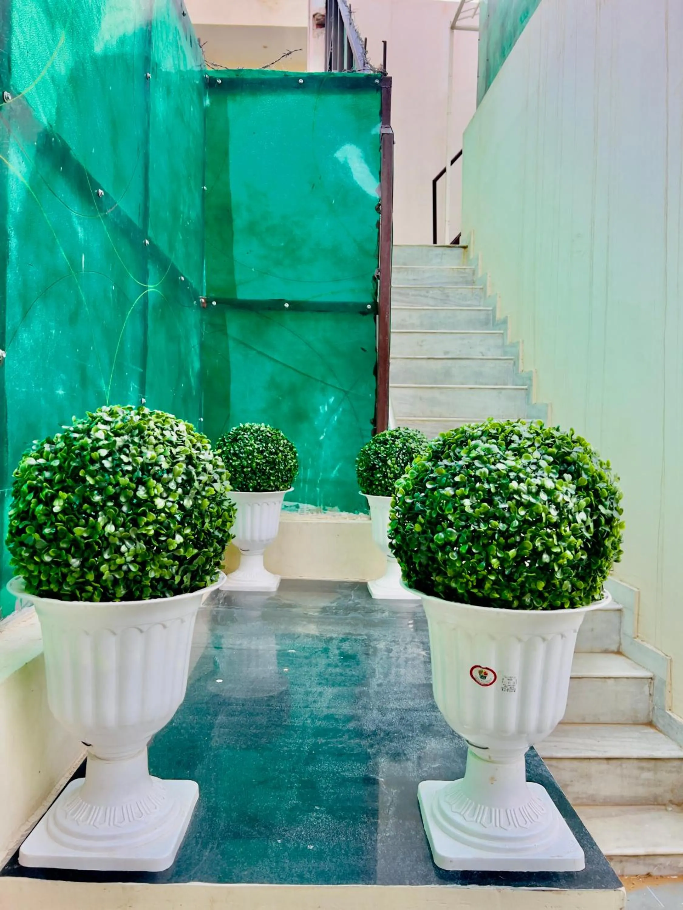 Garden in Hostel ivory