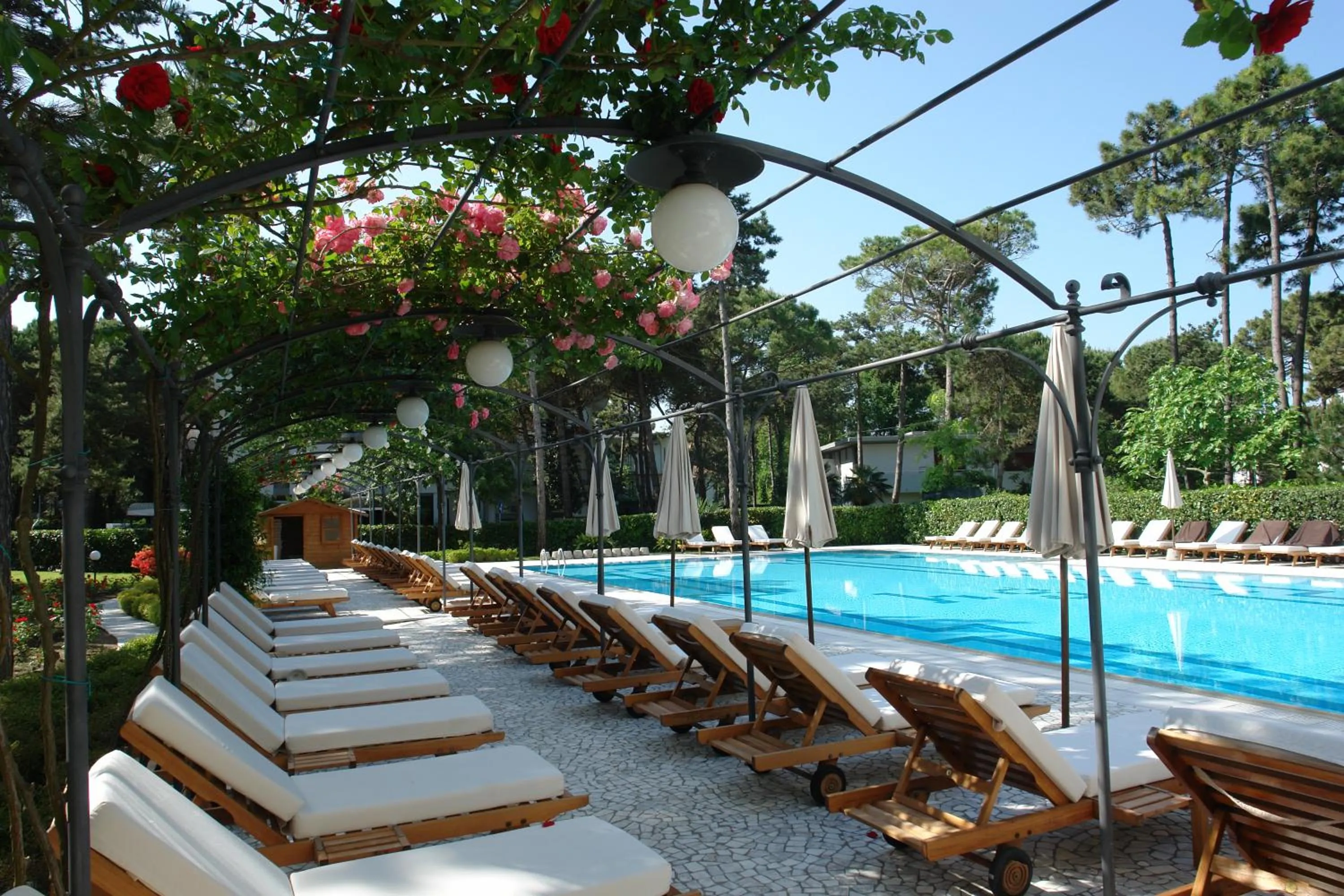 Swimming pool in Hotel Greif