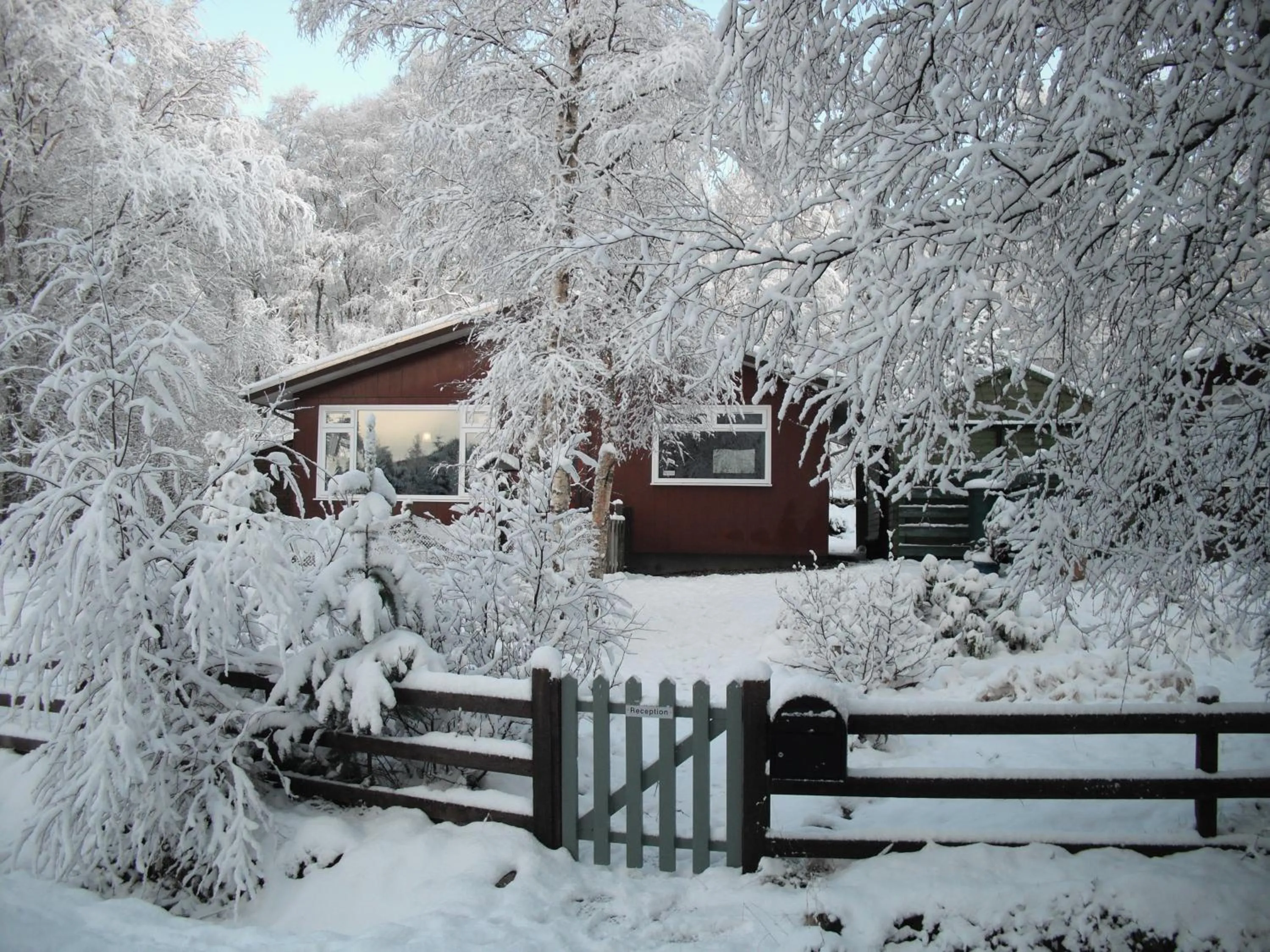 Winter in Torcroft Lodges