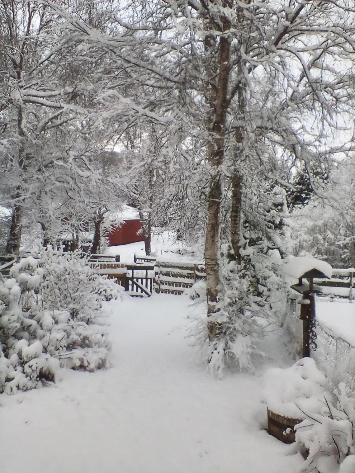 Day in Torcroft Lodges