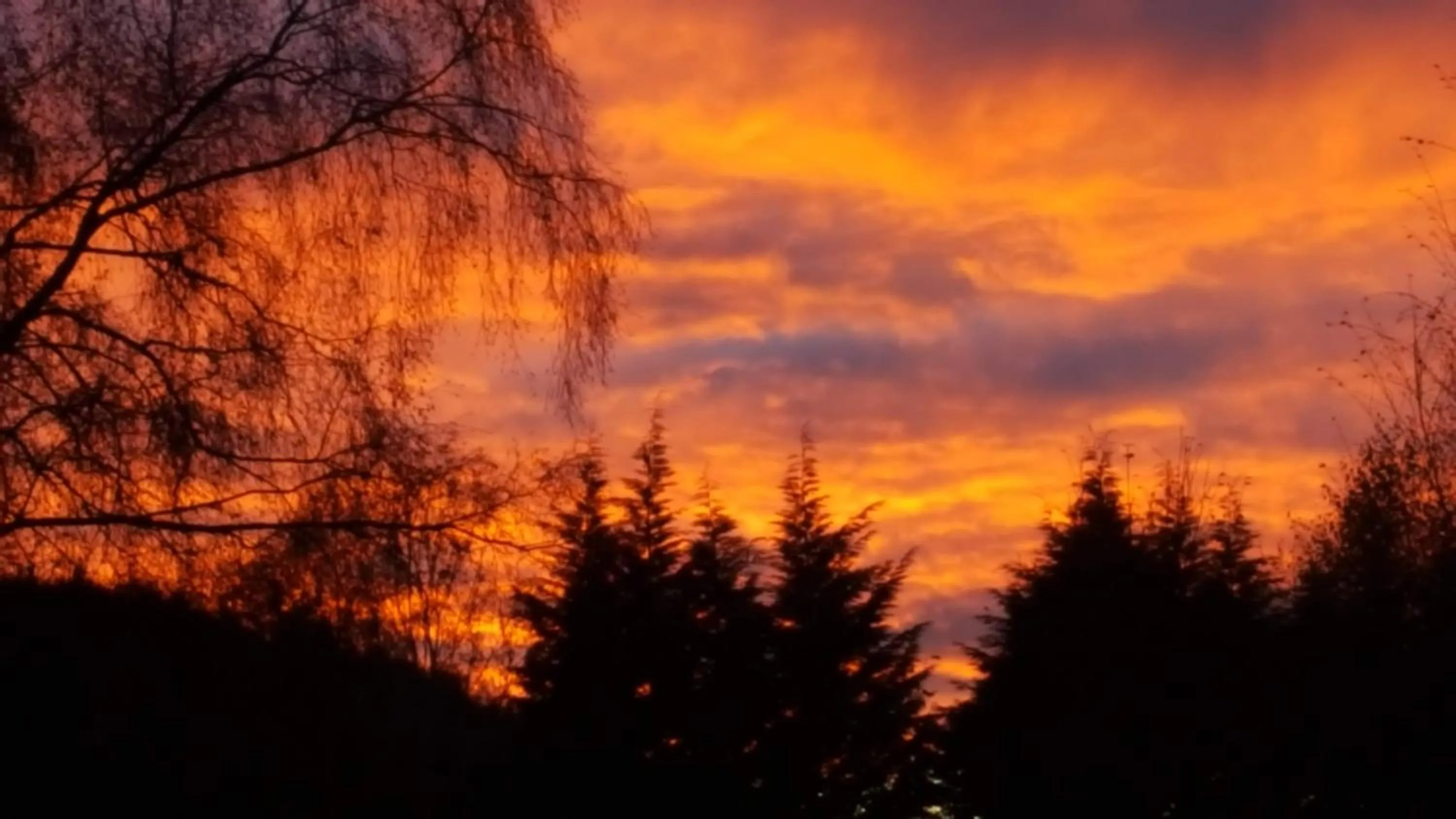 Sunset in Torcroft Lodges