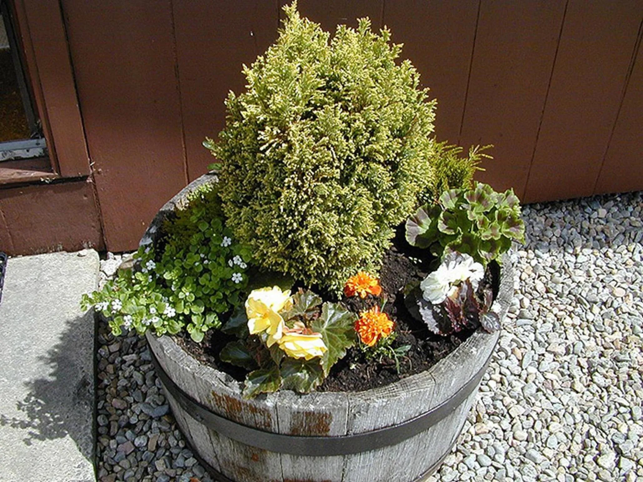 Spring in Torcroft Lodges