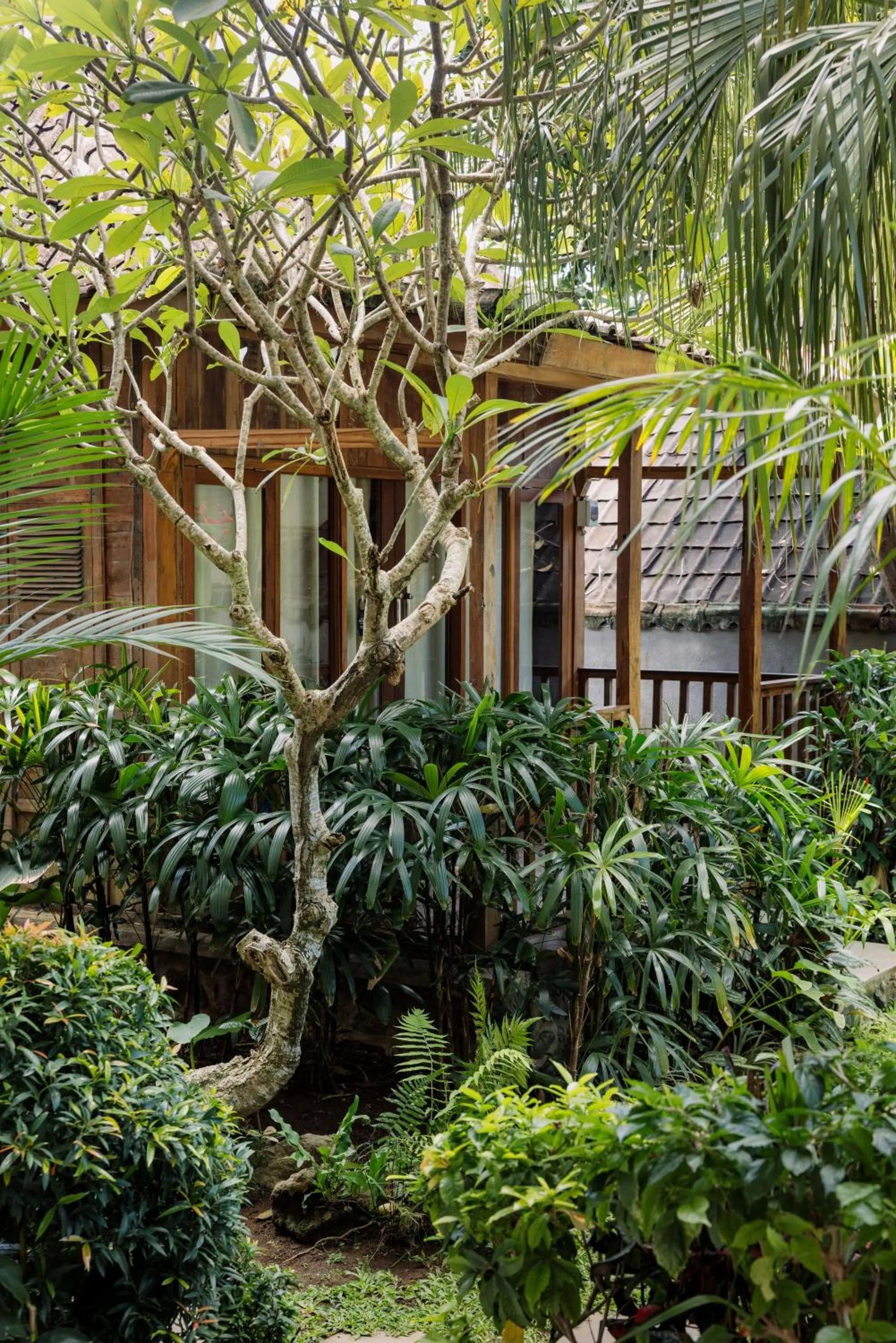 Garden view in Mag Canggu Bali By Hospitality Bali