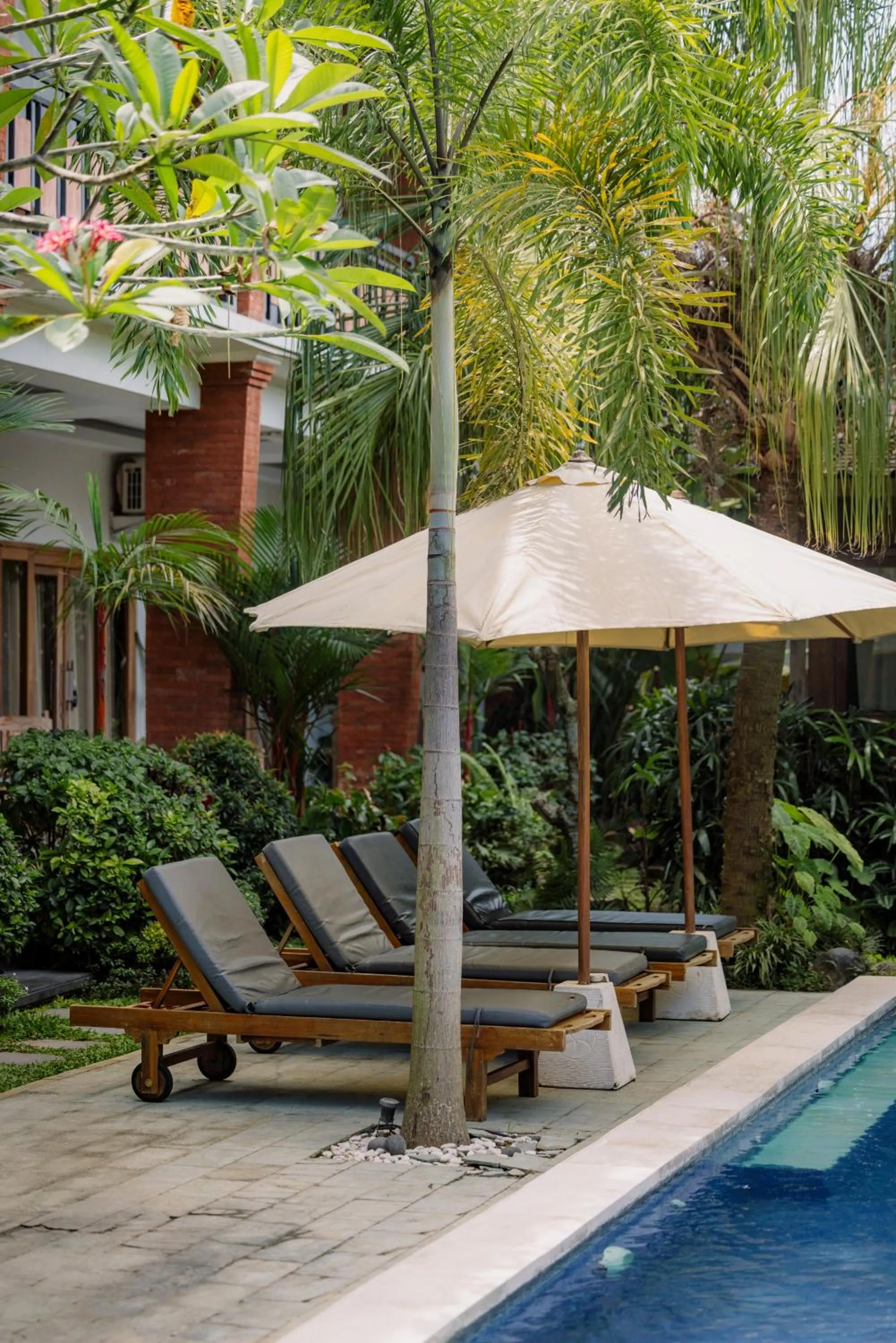 Swimming pool in Mag Canggu Bali By Hospitality Bali