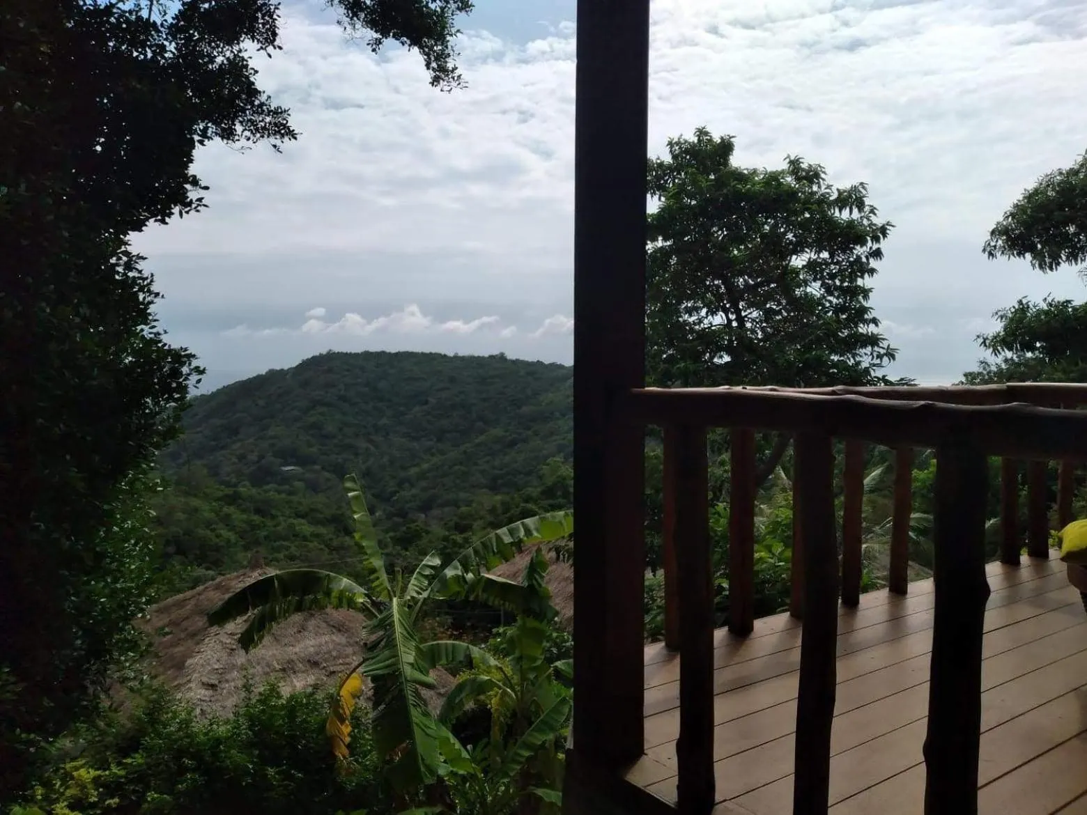 Day in Tree House Bungalows Koh Tao