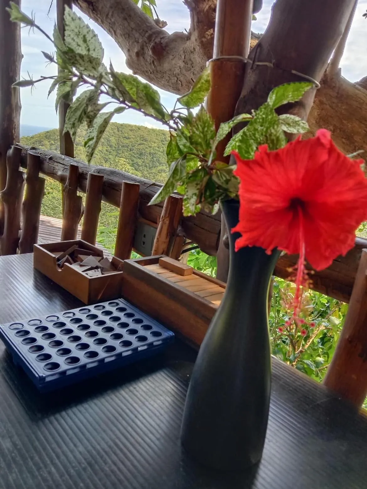 Restaurant/places to eat in Tree House Bungalows Koh Tao